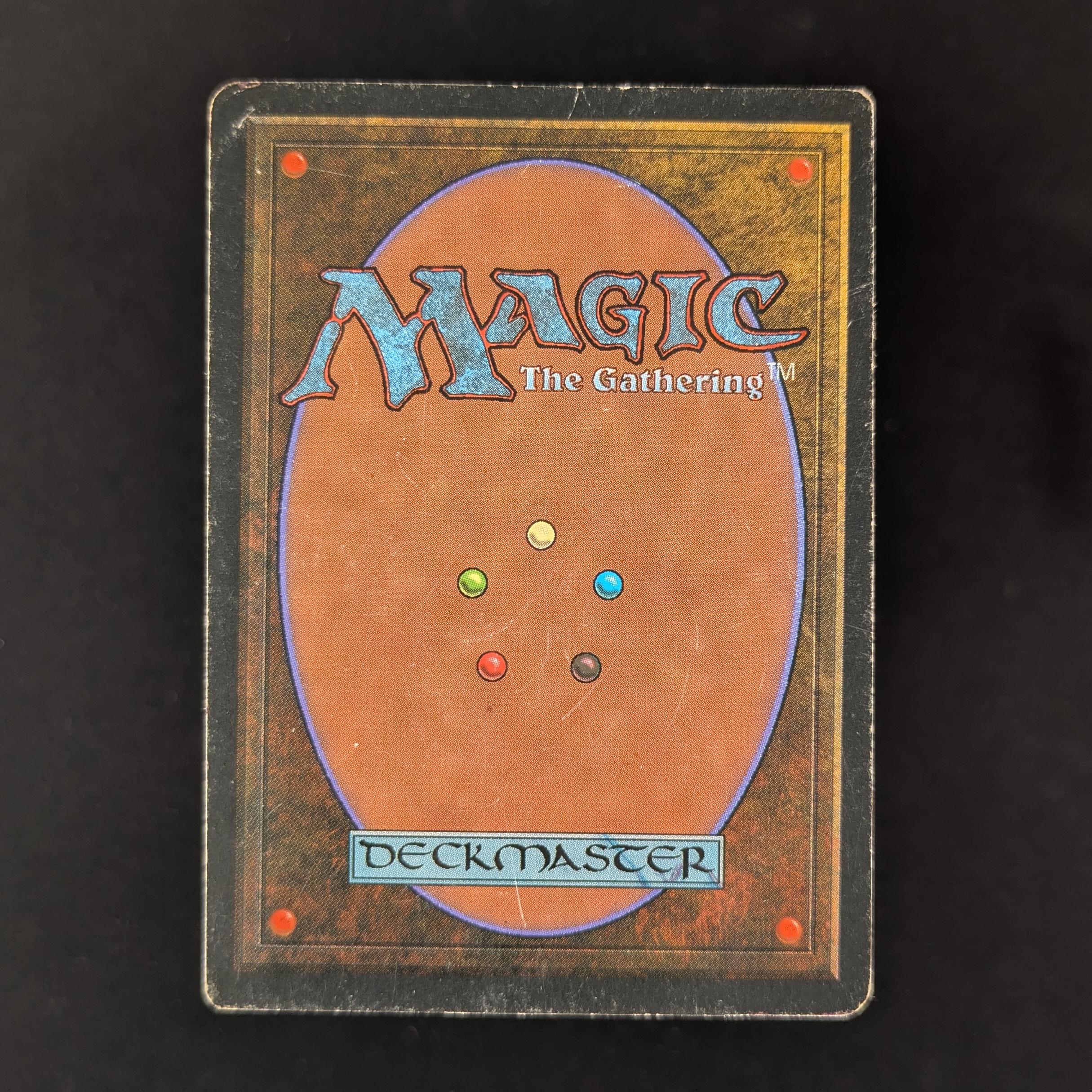 MTG Singles - Savannah - Foreign Black Bordered -