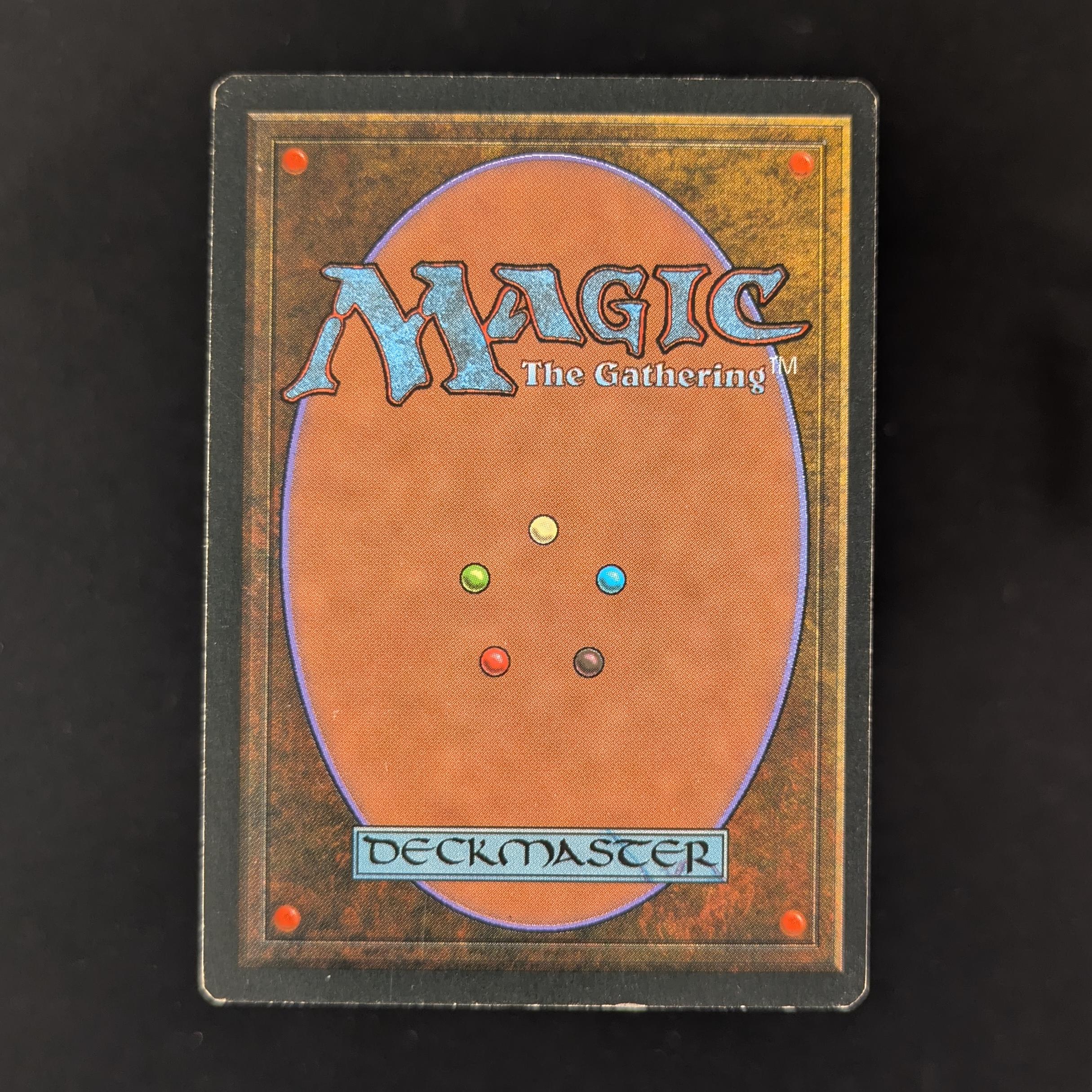 MTG Singles - Taiga - Foreign Black Bordered -