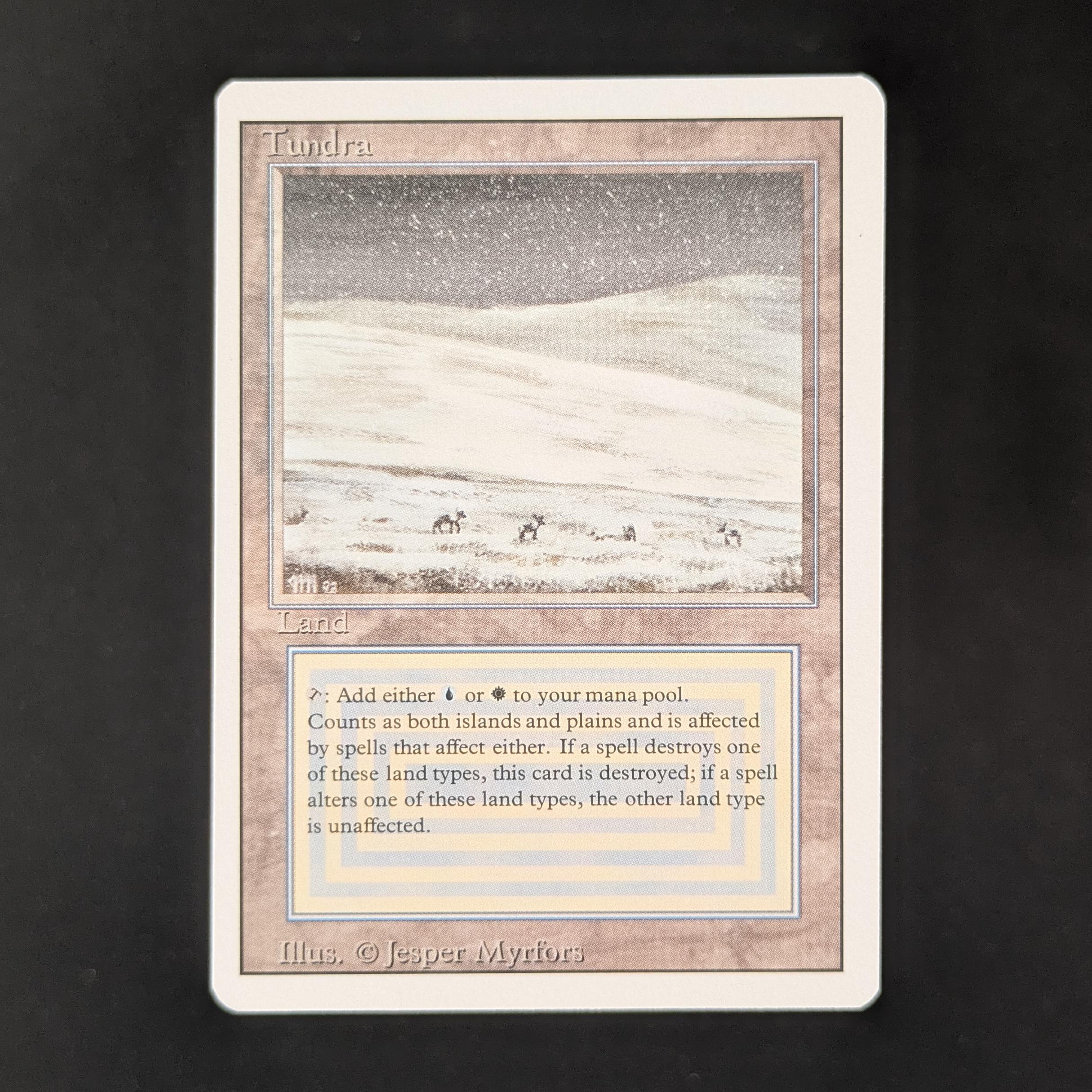 MTG Singles - Tundra - Revised - NM - 31451