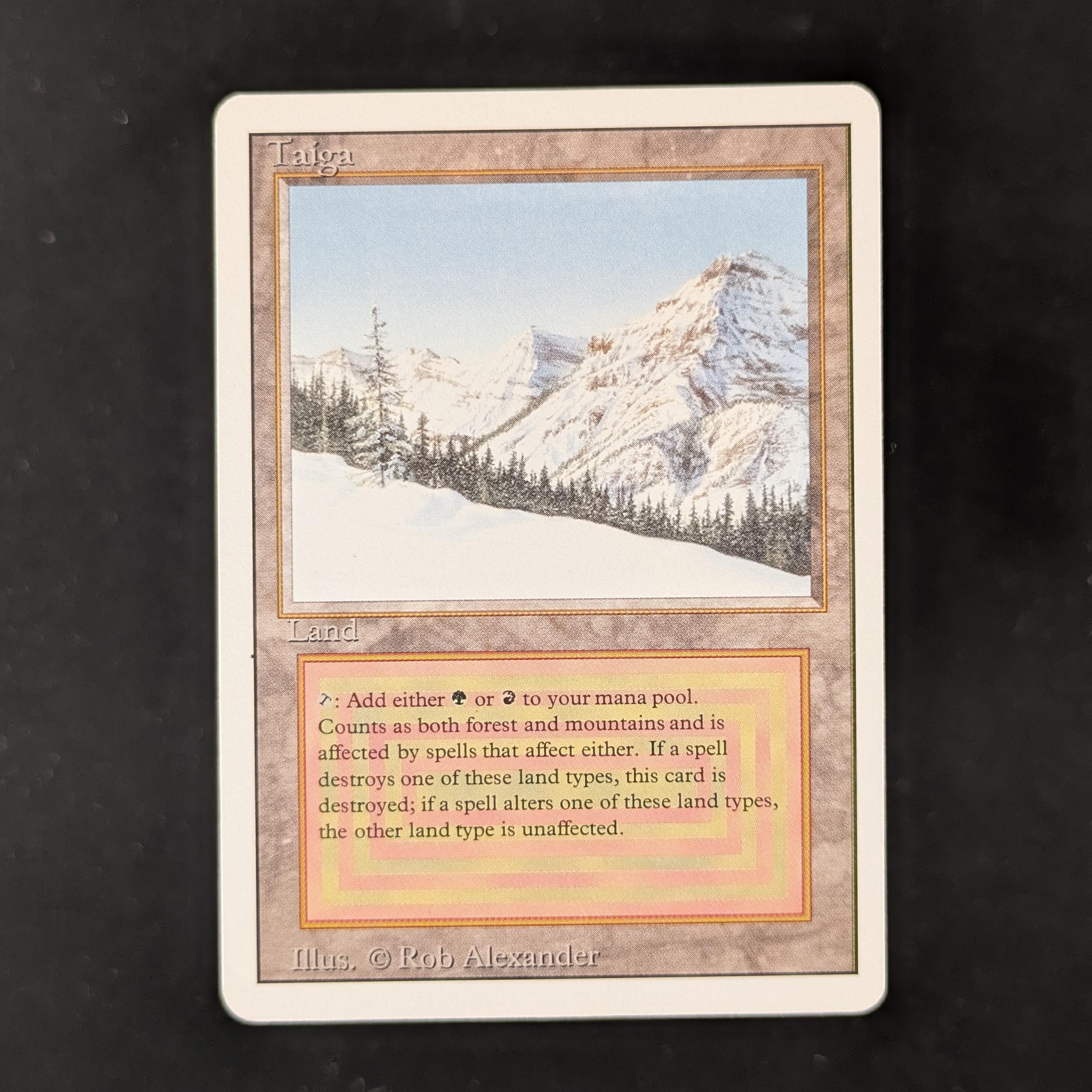 MTG Singles - Taiga - Revised - GD - BENT - 31721