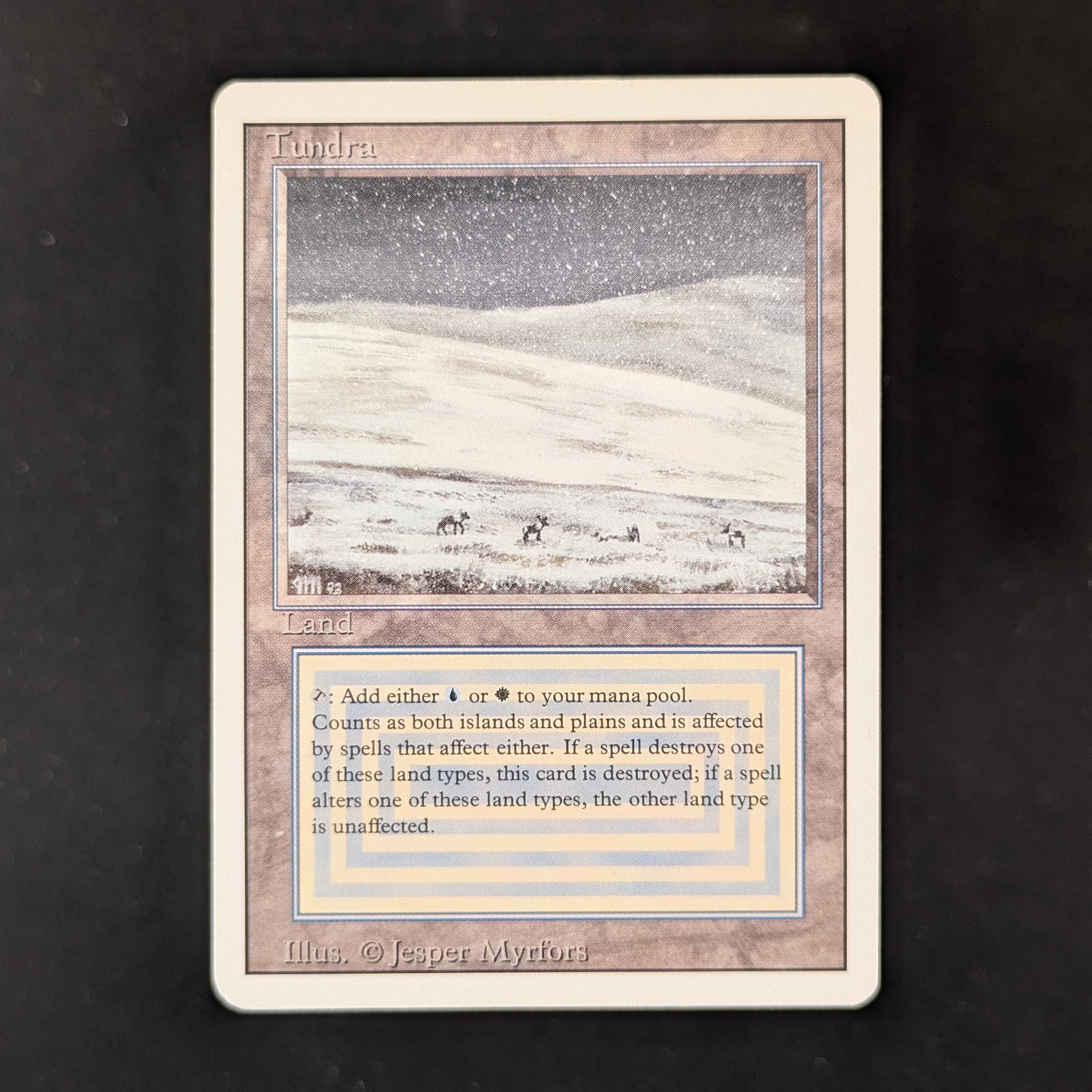 MTG Singles - Tundra - Revised - EX - 31732