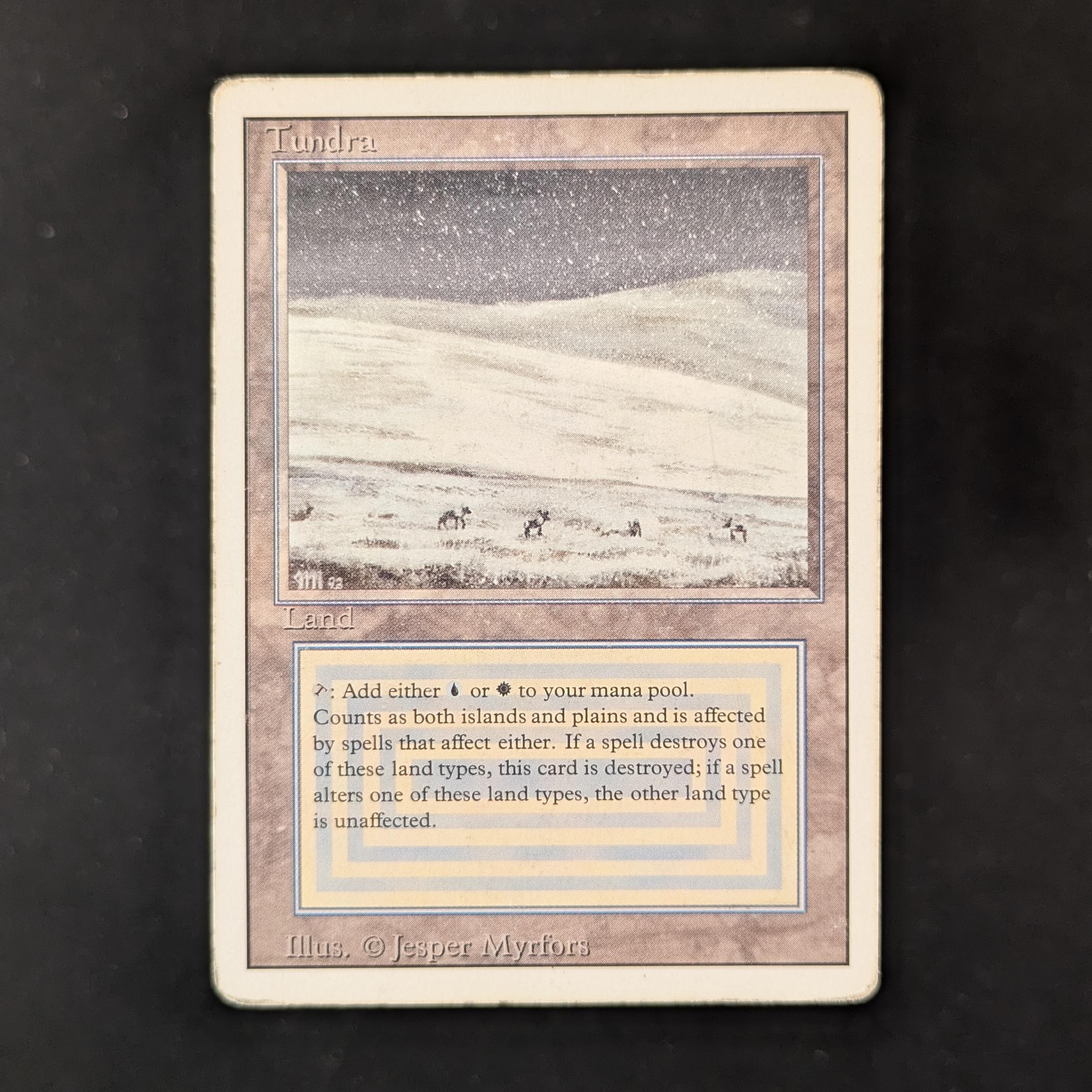 MTG Singles - Tundra - Revised - PO - 31737