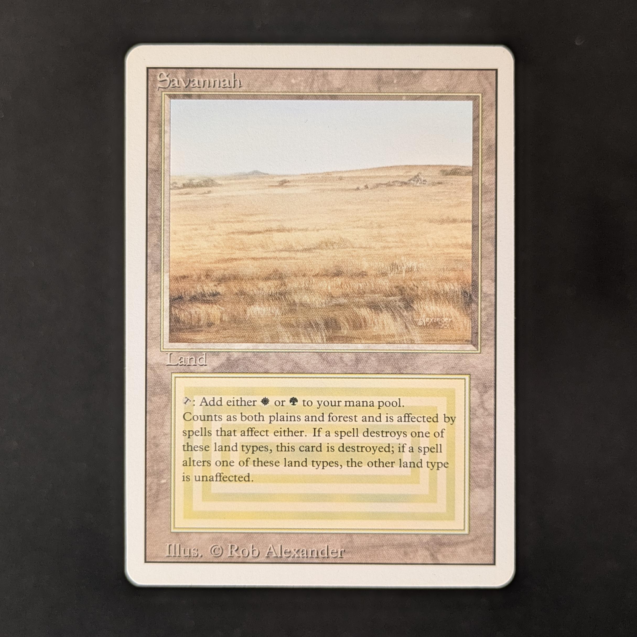 MTG Singles - Savannah - Revised - GD - 31797