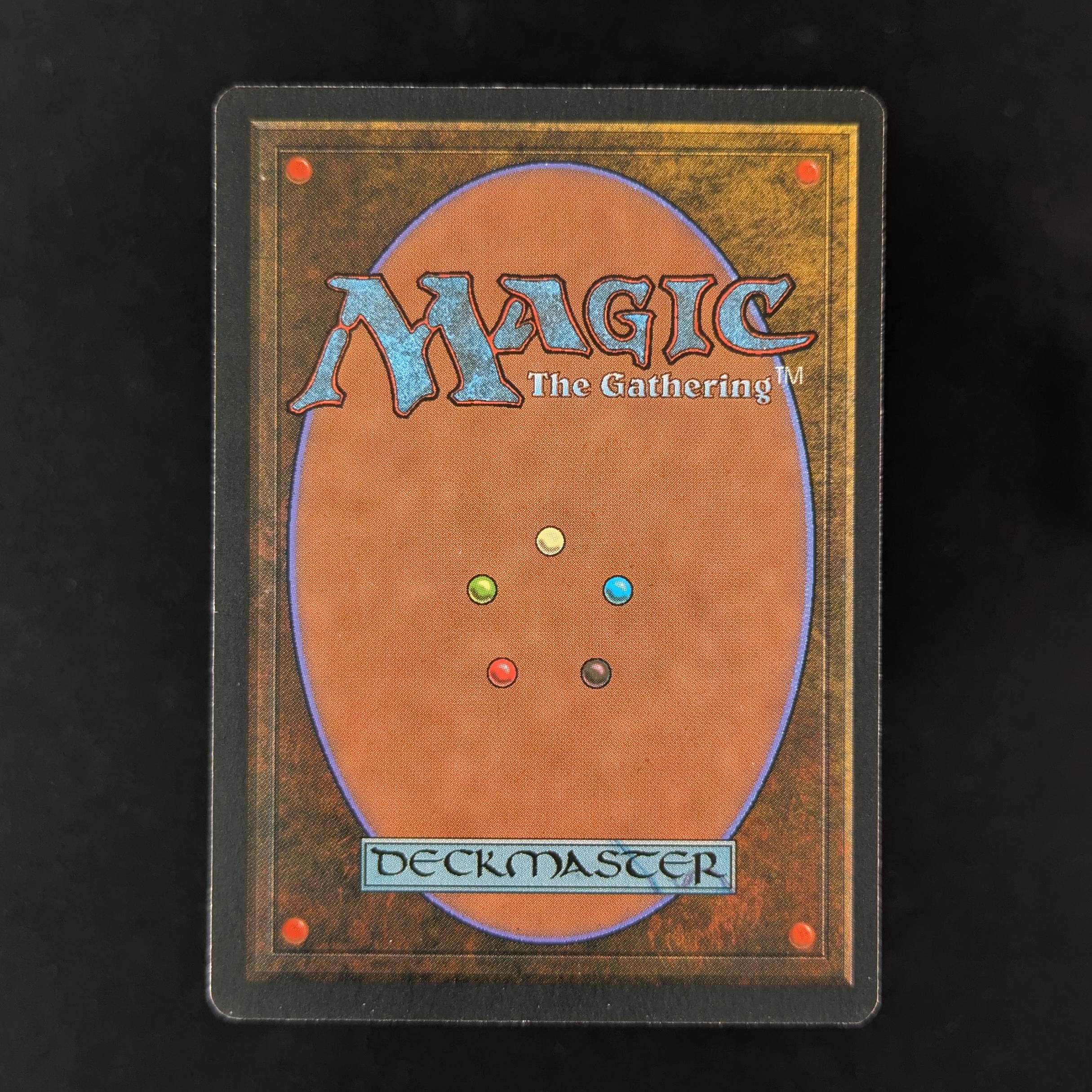 MTG Singles - Savannah - Foreign Black Bordered -