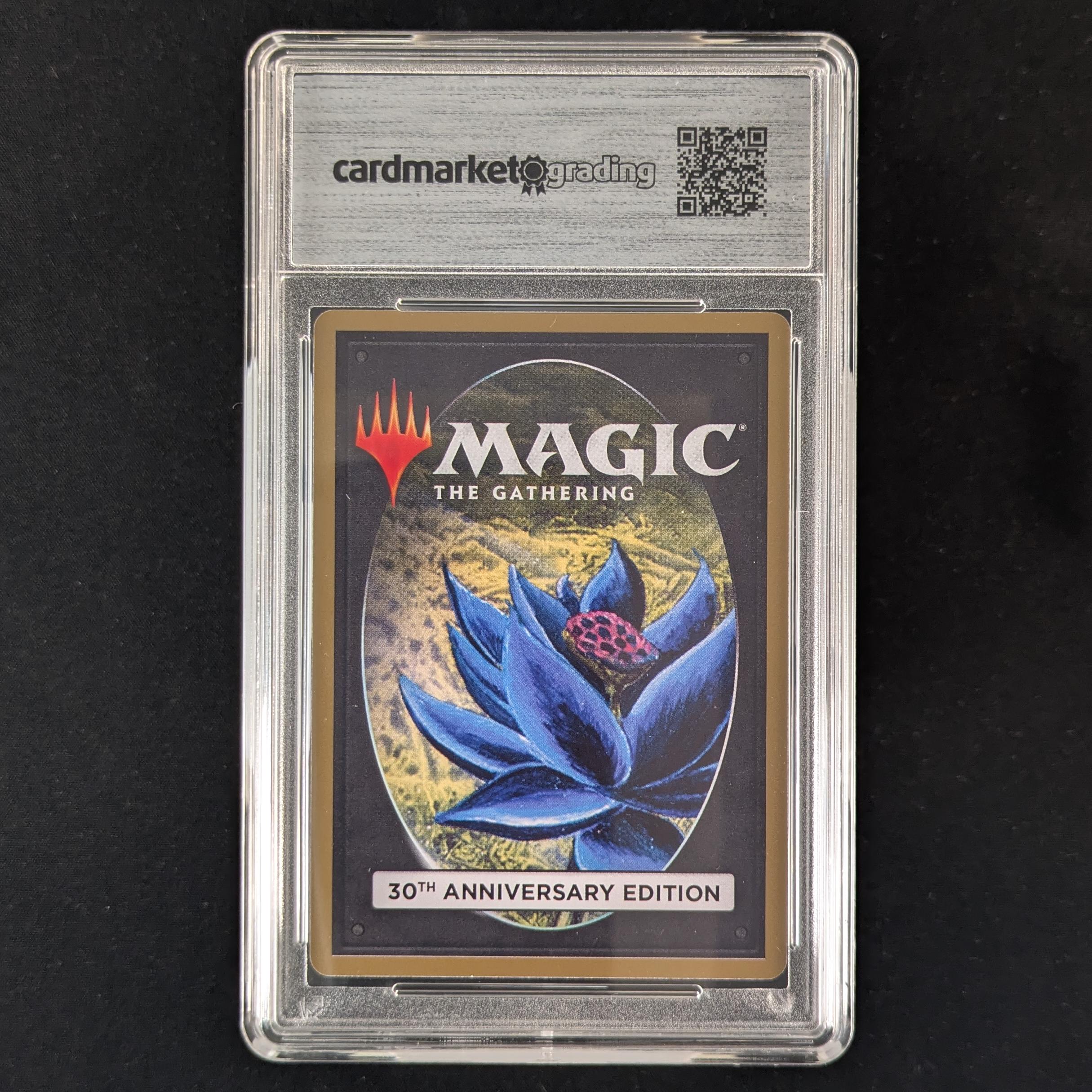 MTG Singles - Roc of Kher Ridges (Retro Frame) - 30th Anniversary Edition - CMG 9.5 -
