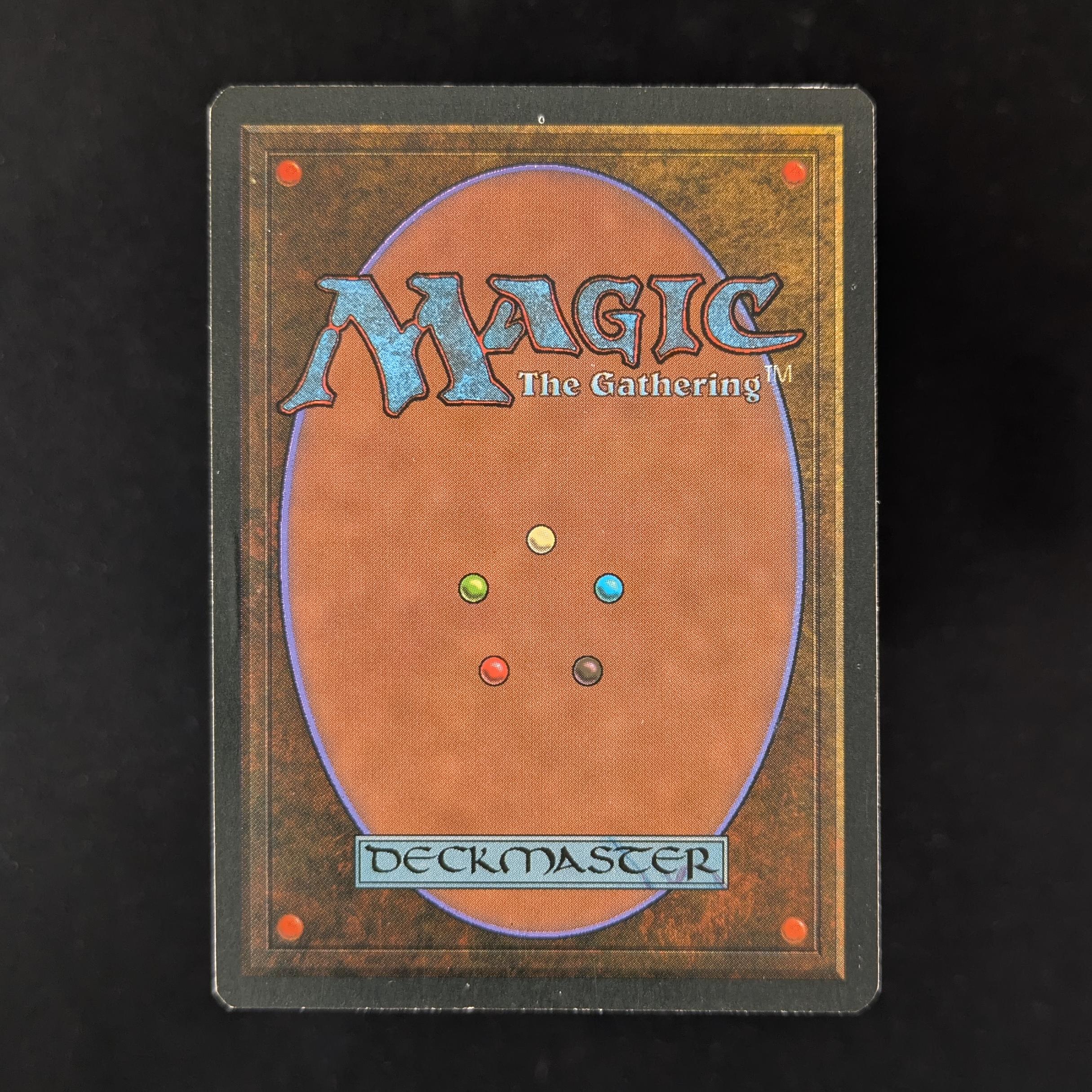 MTG Singles - Tundra - Foreign White Bordered -