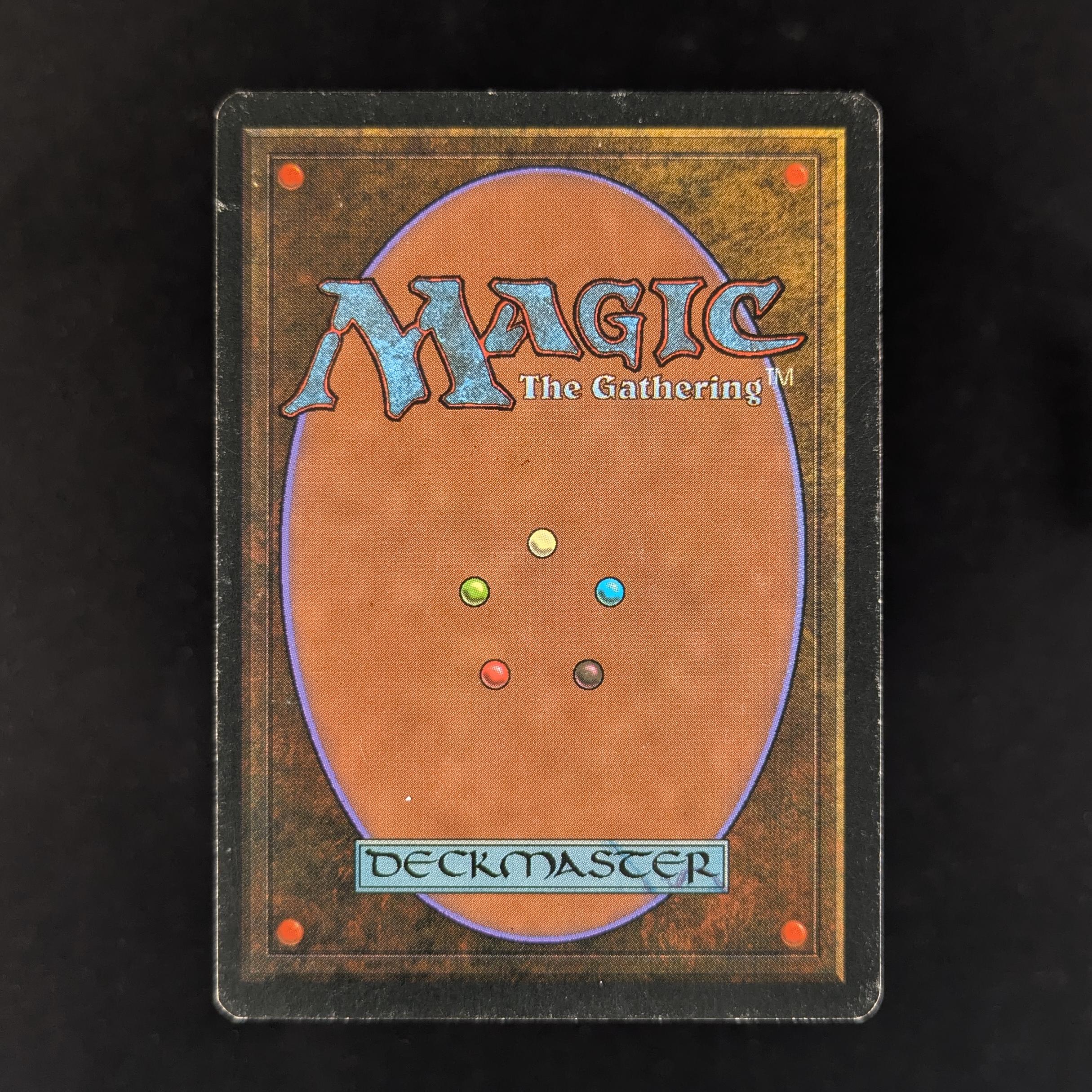 MTG Singles - Savannah - Foreign White Bordered -