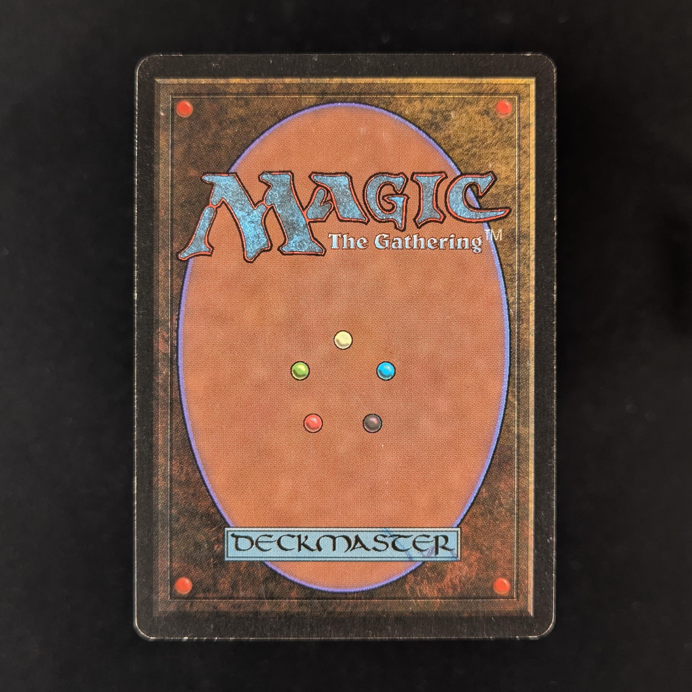 MTG Singles - Northern Paladin - Beta -