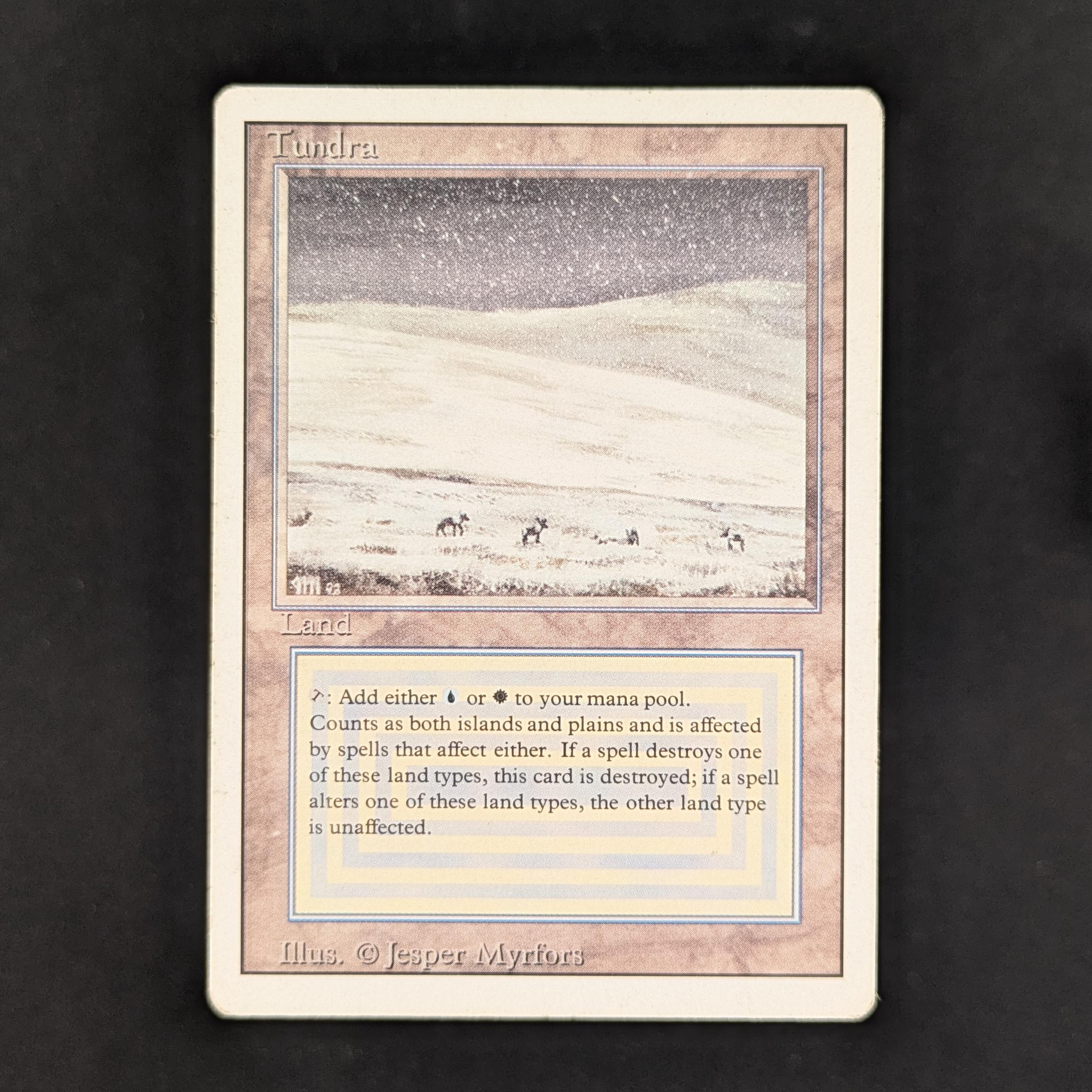 MTG Singles - Tundra - Revised - PL - 32511