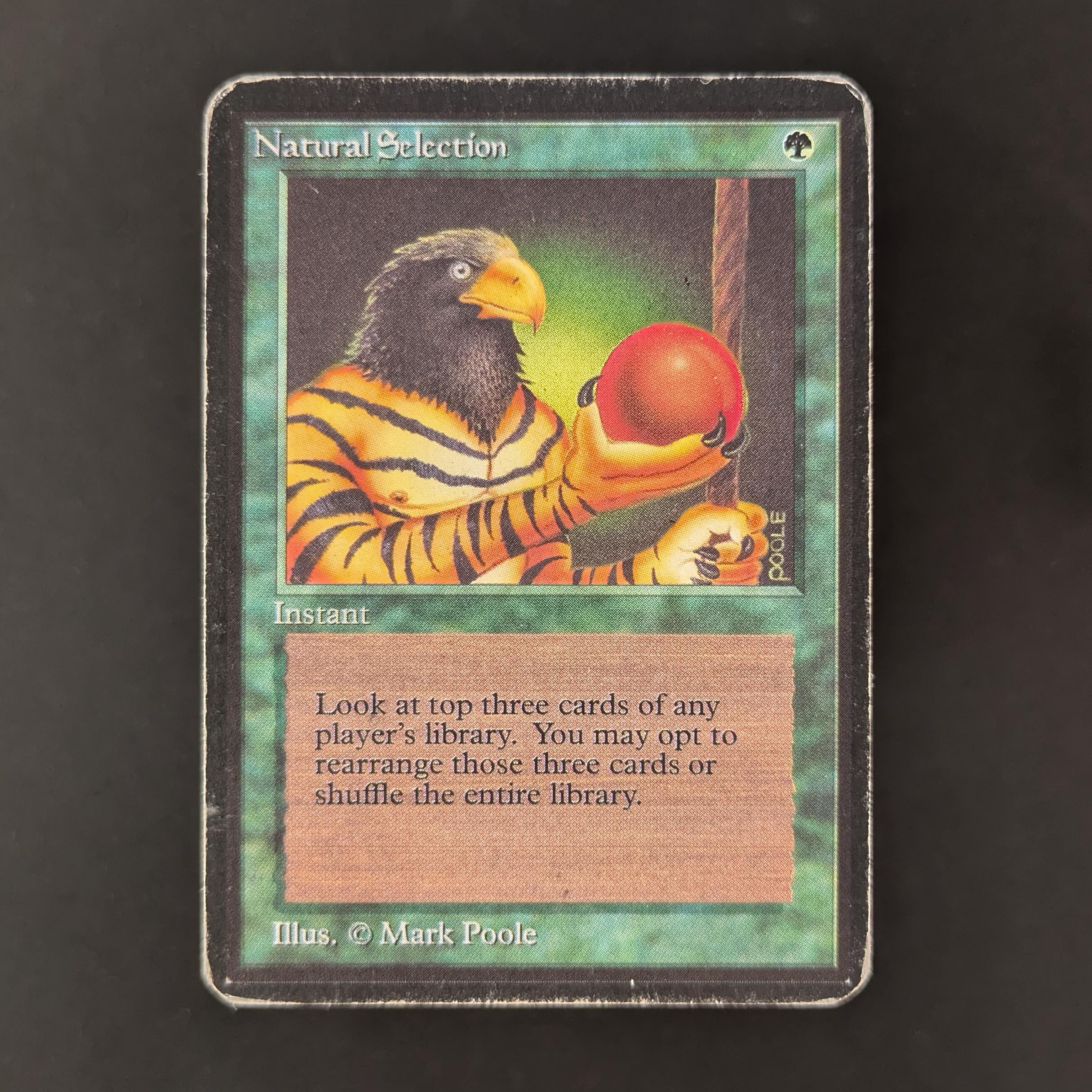 MTG Singles - Natural Selection - Alpha - PL - 32740