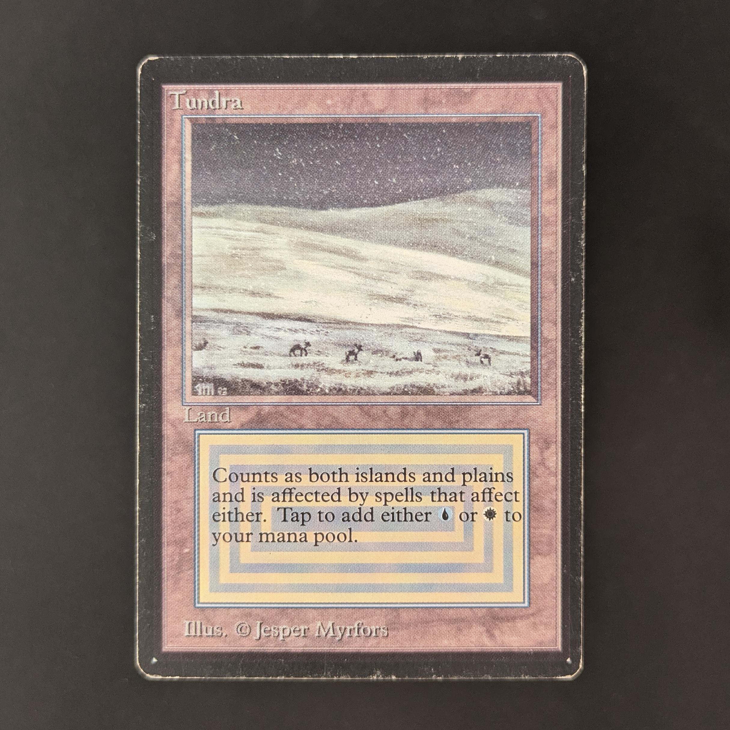 MTG Singles - Tundra - Beta - PL - 32746