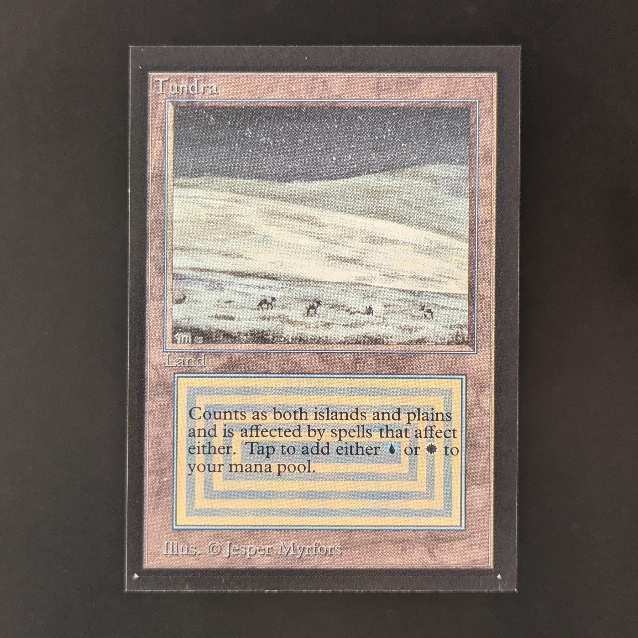 MTG Singles - Tundra - Collectors' Edition - EX - 32789