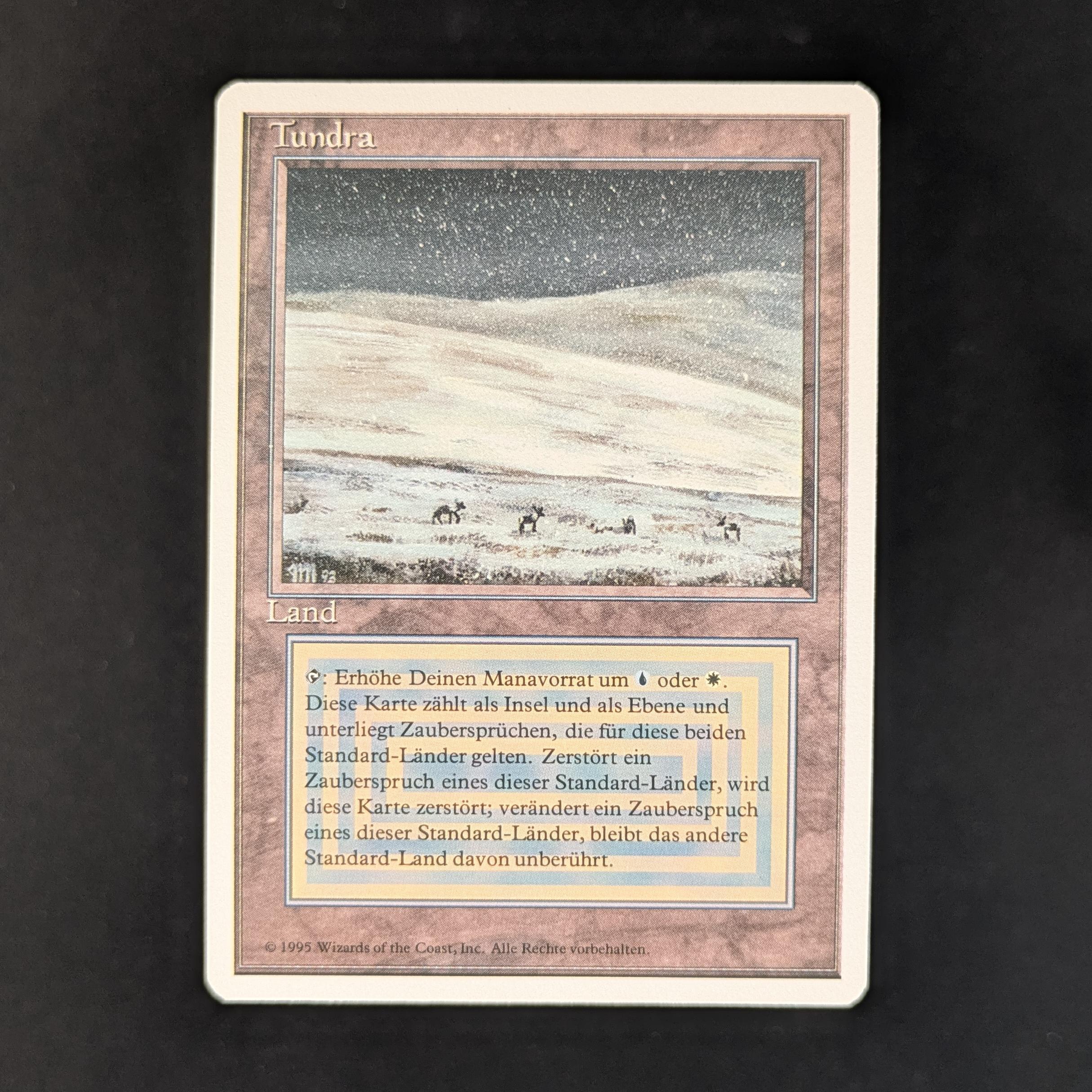 MTG Singles - Tundra - Foreign White Bordered - German - EX - 32884