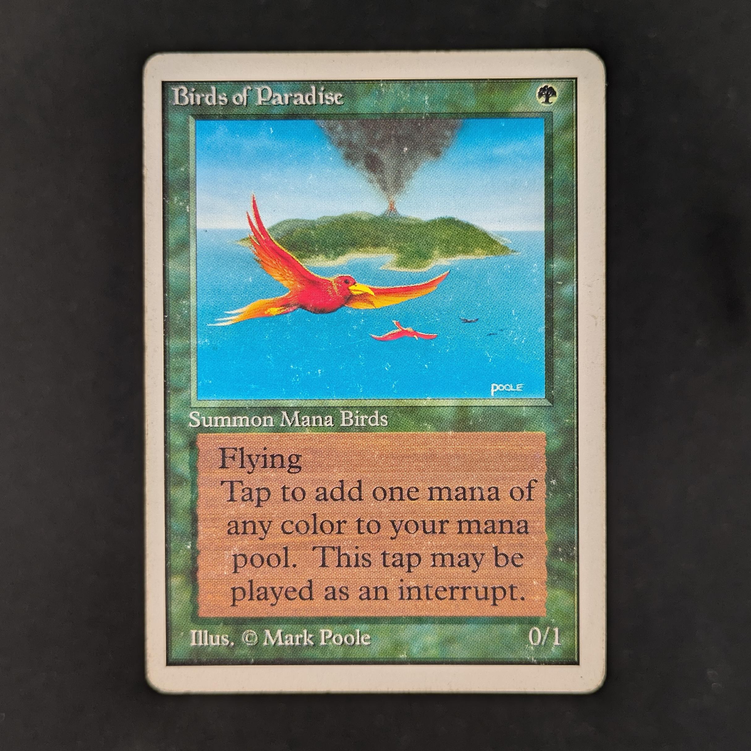 MTG Singles - Birds of Paradise - Unlimited - PL - 33036