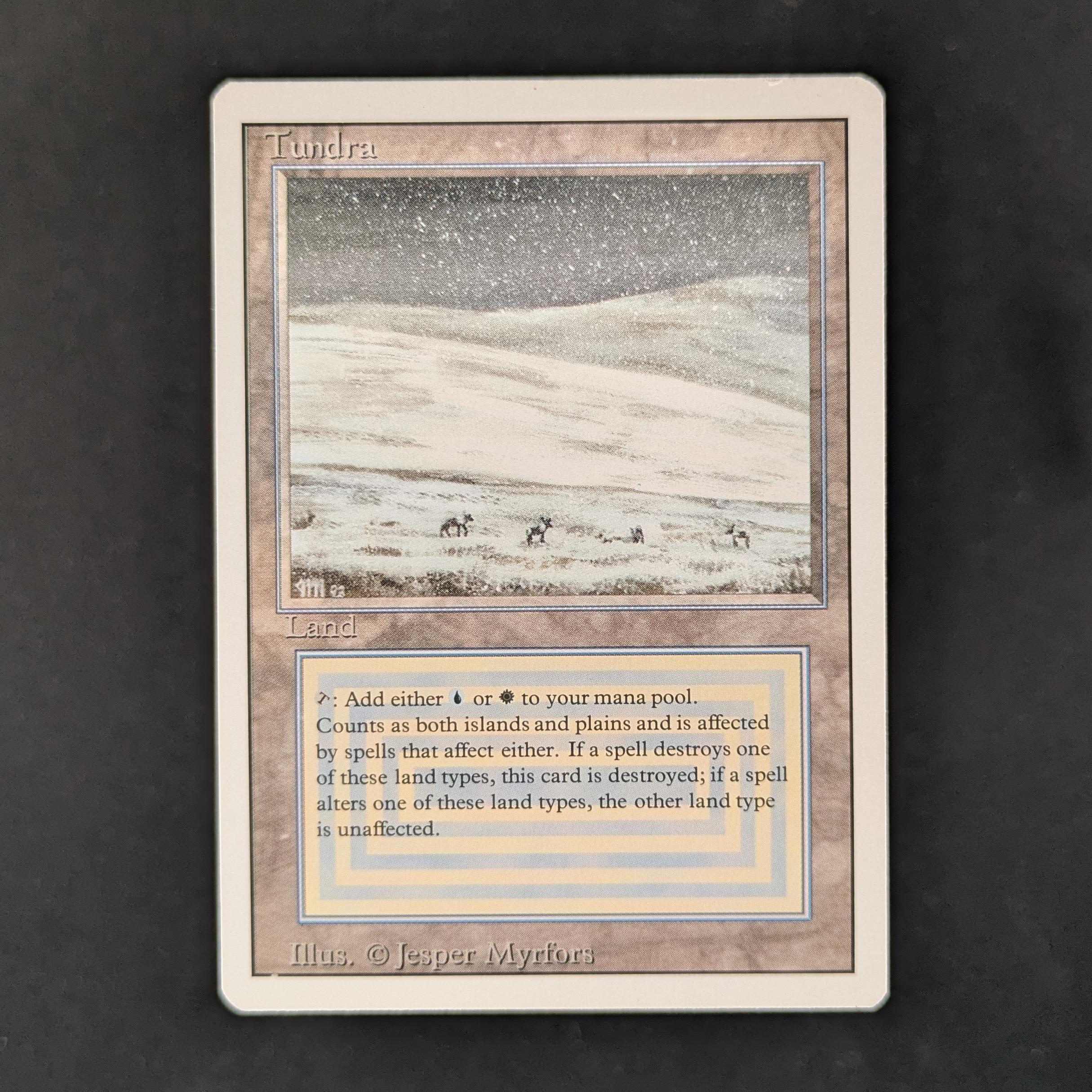 MTG Singles - Tundra - Revised - LP - 33109