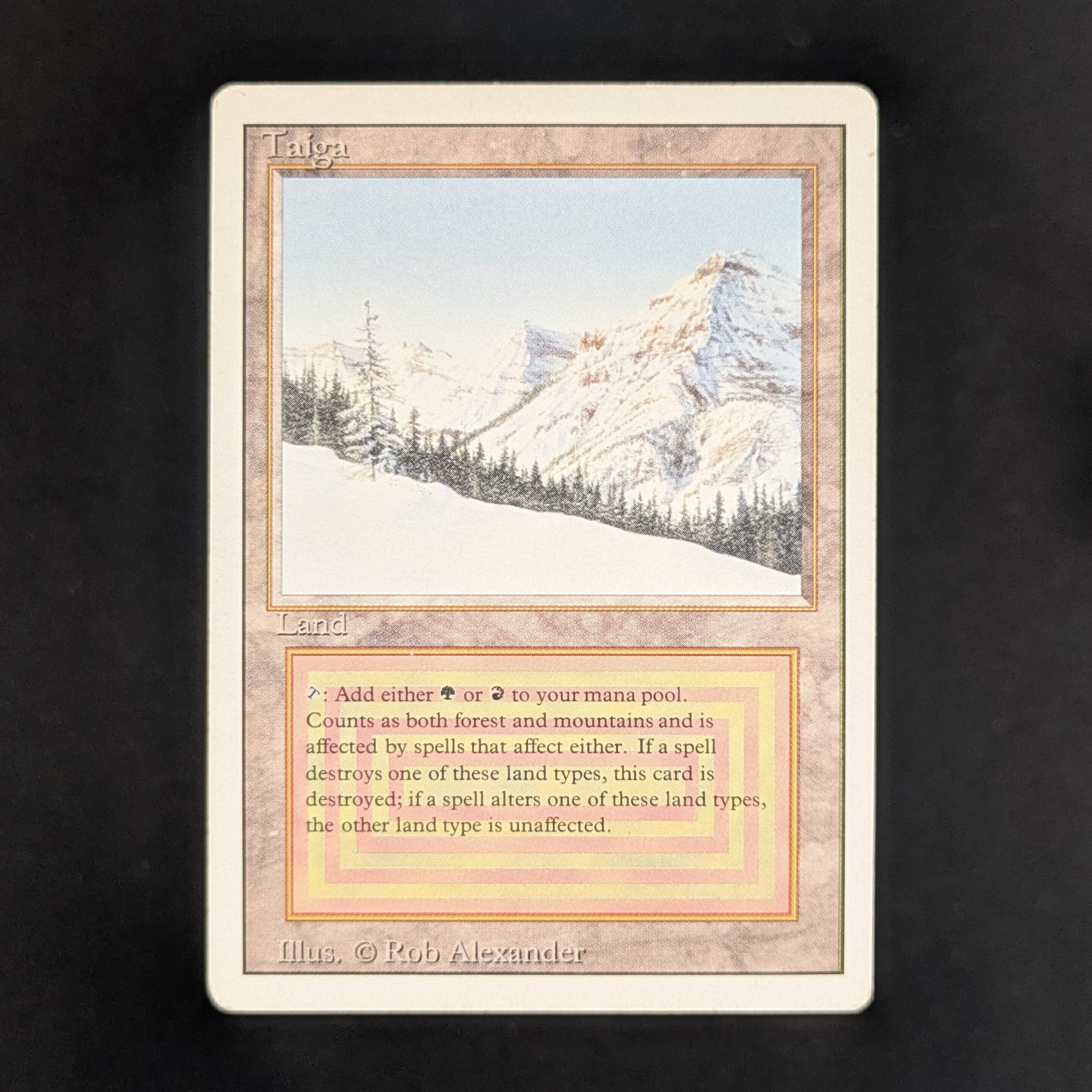 MTG Singles - Taiga - Revised - PL - 33239