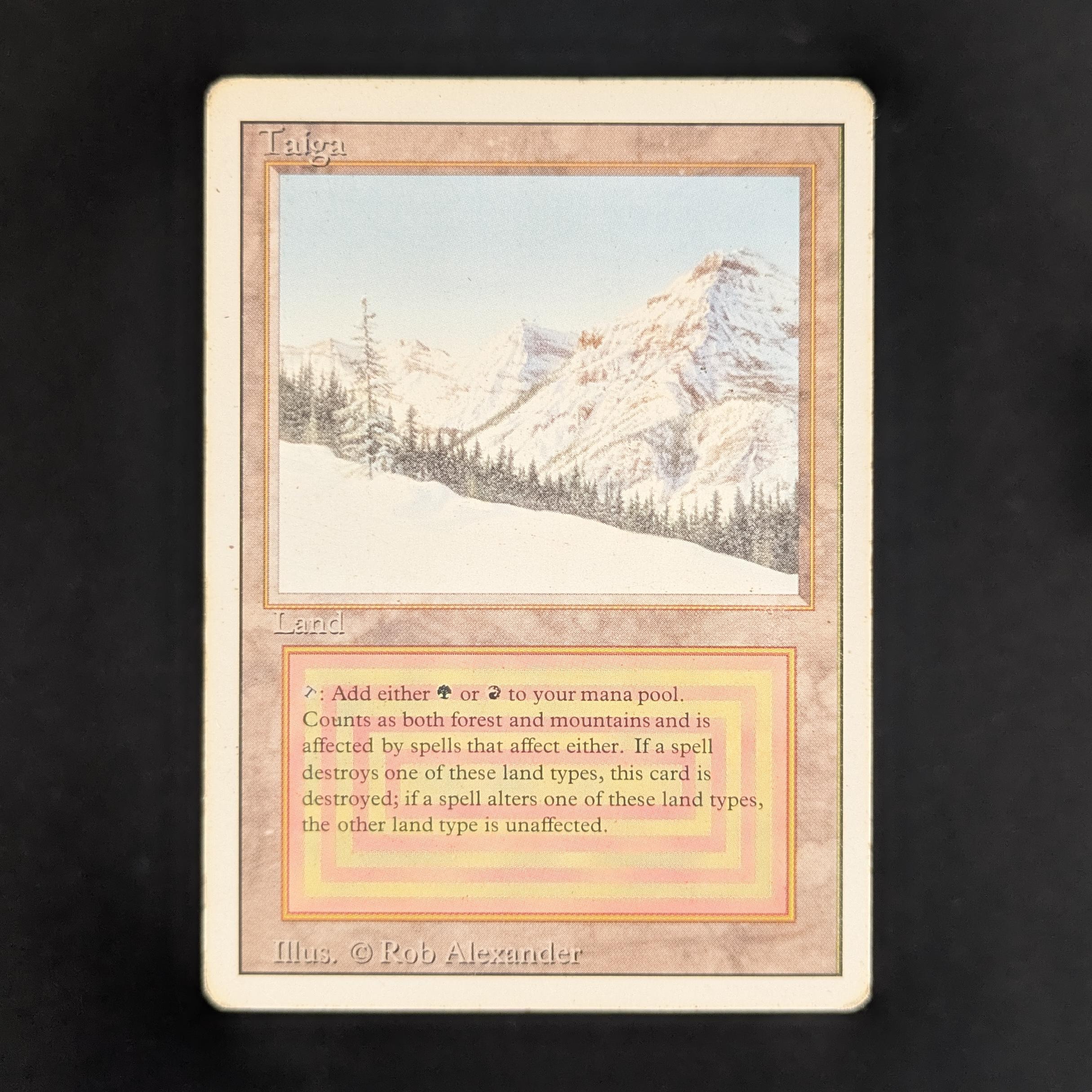 MTG Singles - Taiga - Revised - PL - 33240