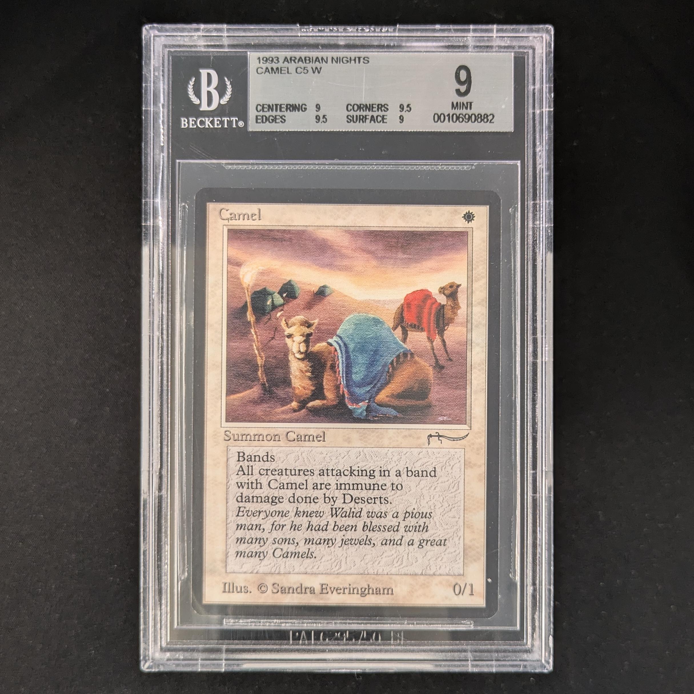 MTG Singles - Camel - Arabian Nights - BGS 9 -