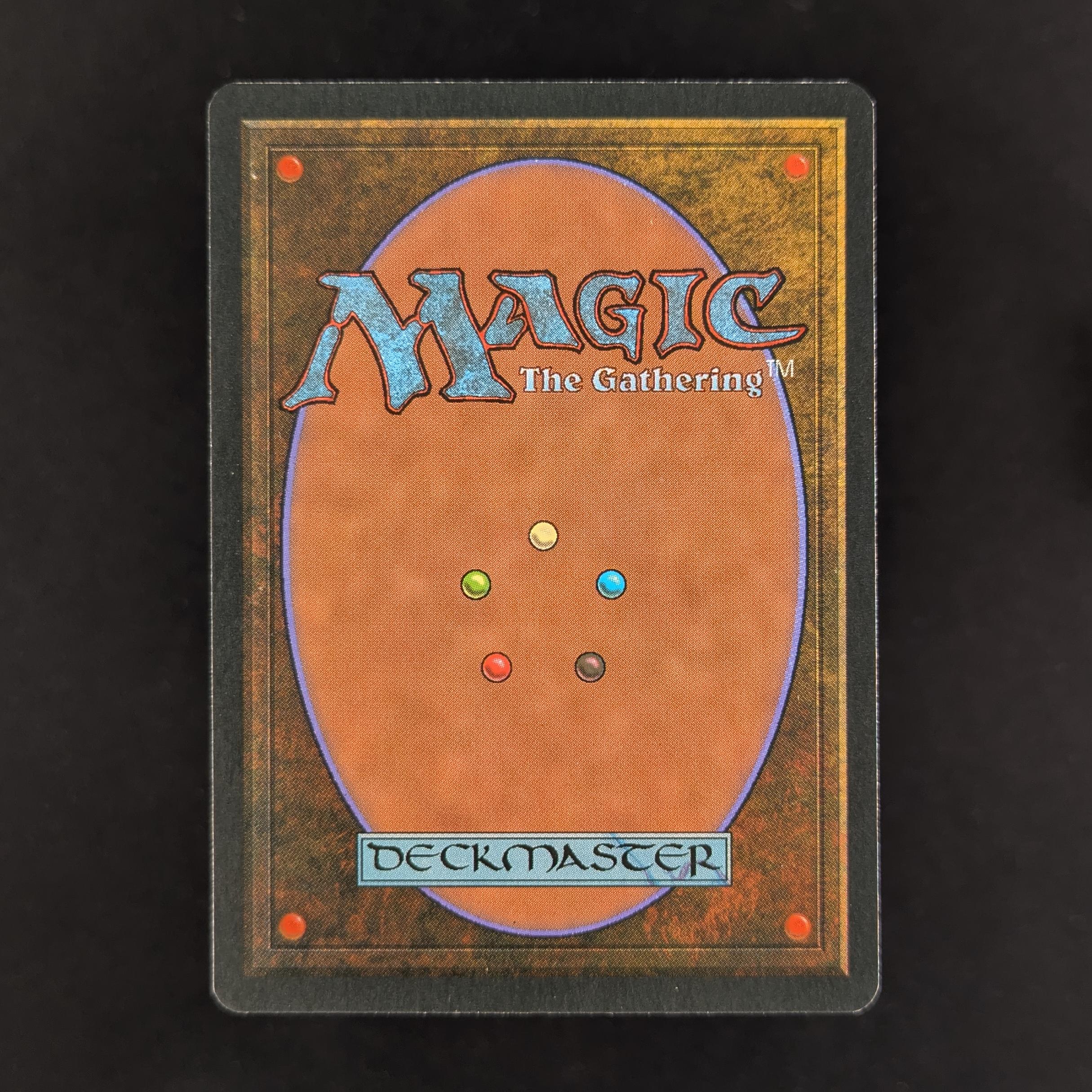 MTG Singles - Bayou - Foreign Black Bordered -
