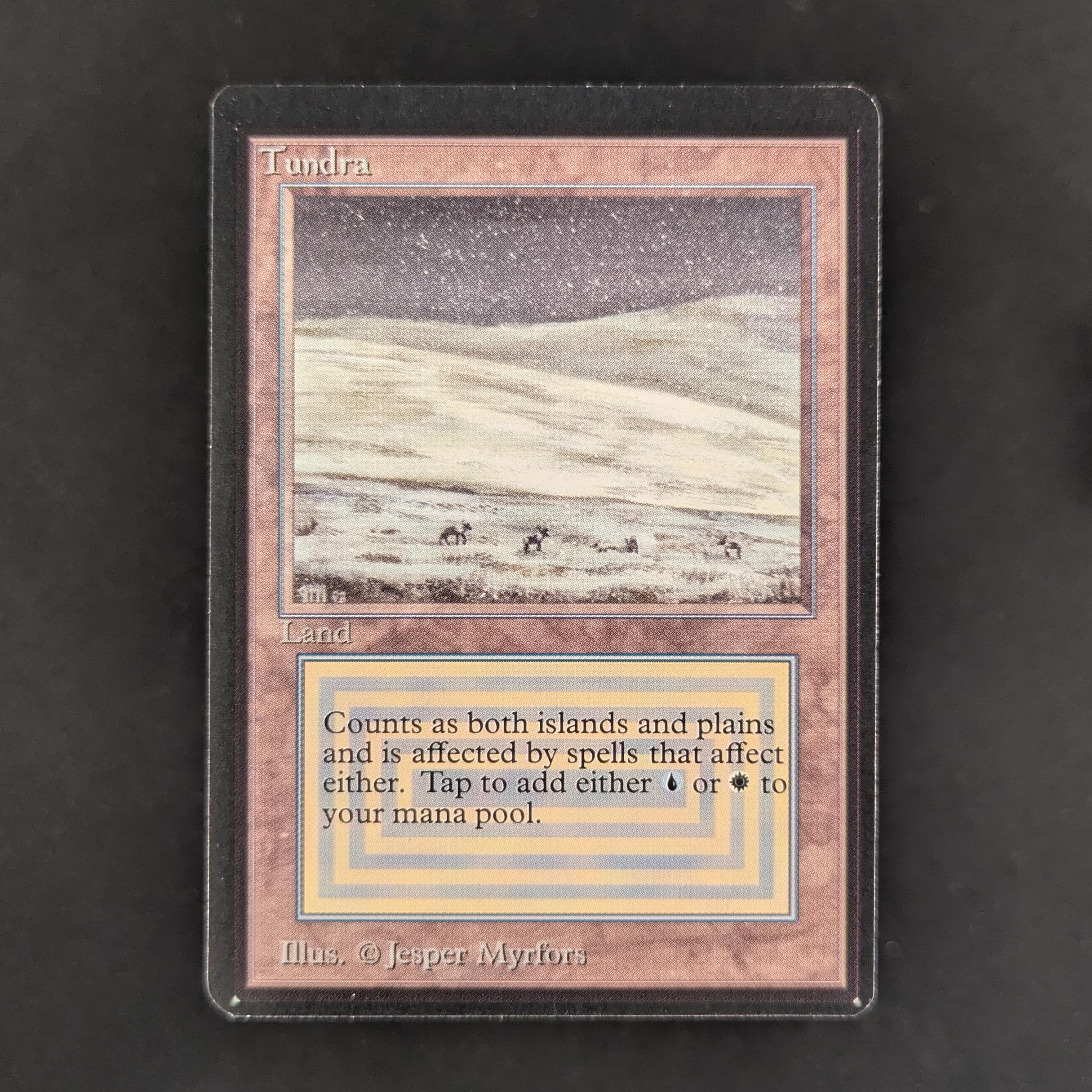 MTG Singles - Tundra - Beta - NM - 33471