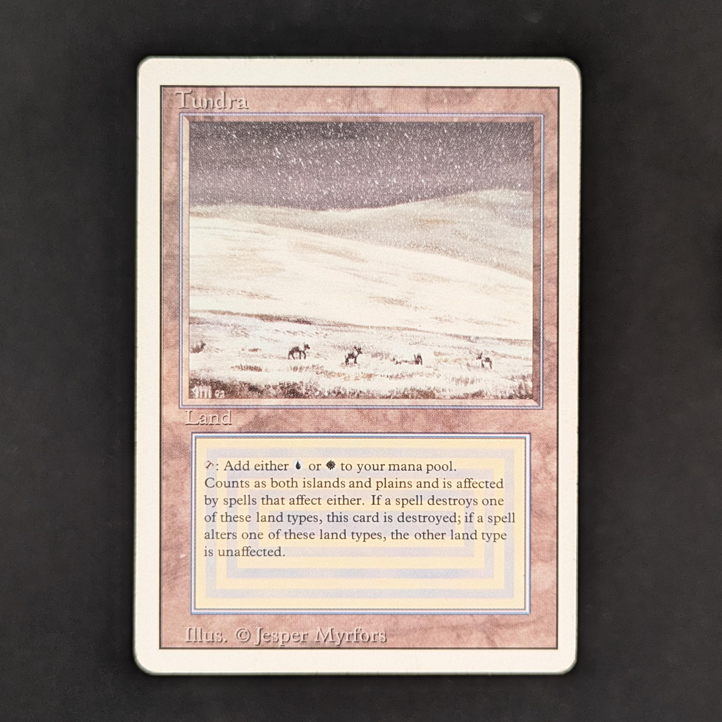 MTG Singles - Tundra - Revised - LP - 33511
