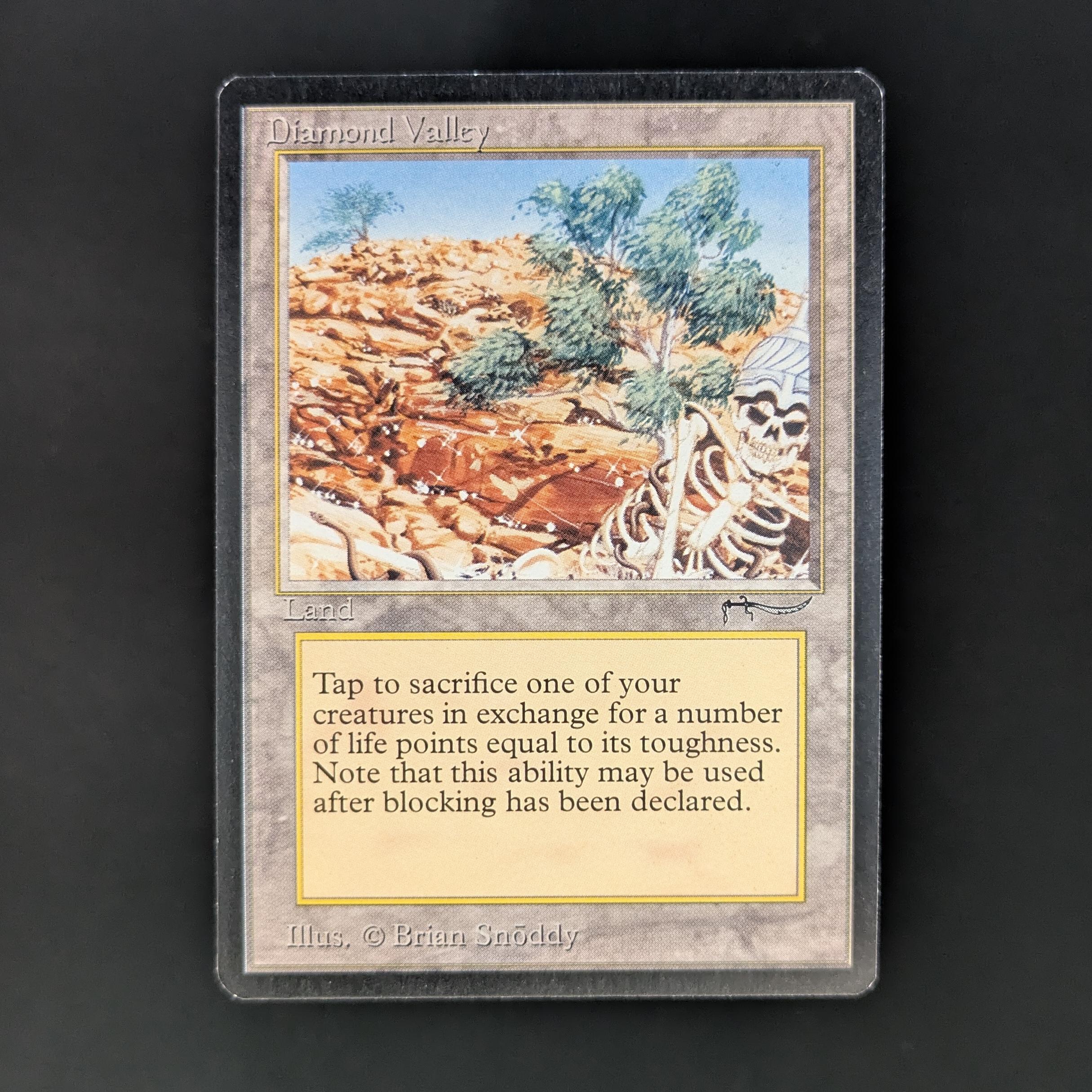 MTG Singles - Diamond Valley - Arabian Nights - EX - 33696