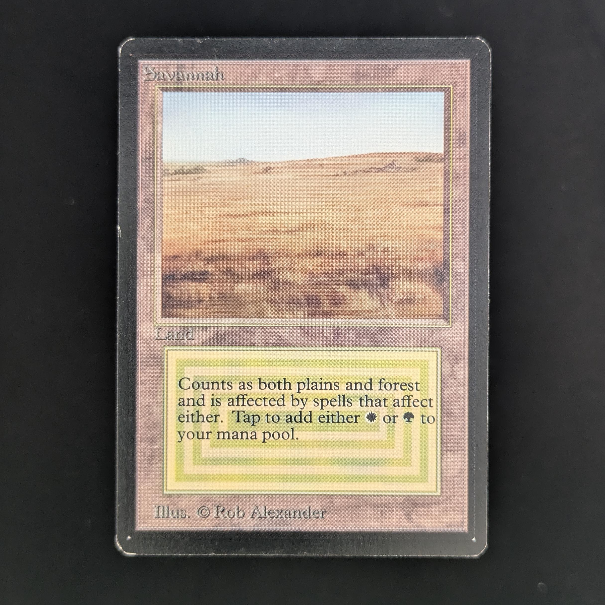 MTG Singles - Savannah - Beta - GD - 33753