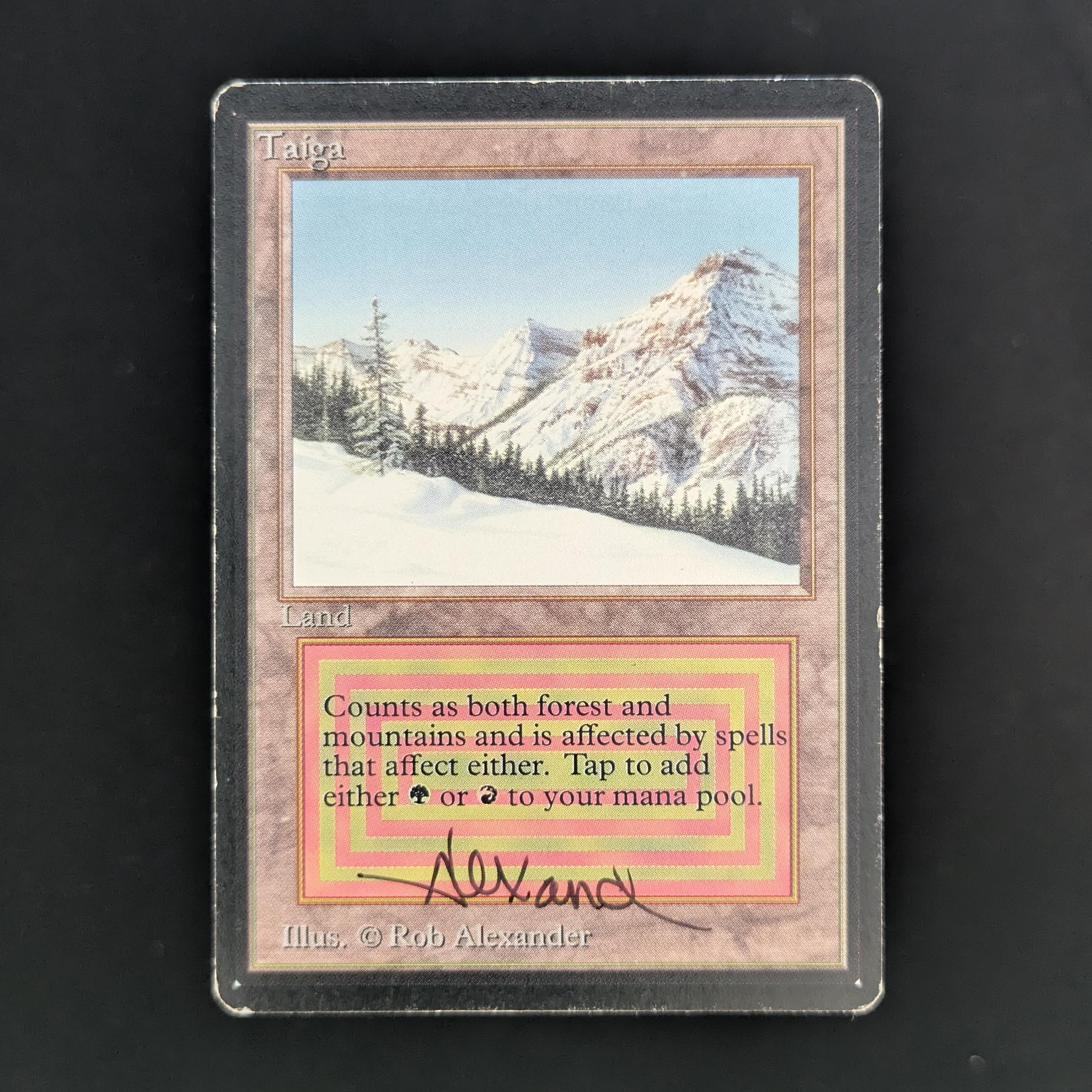 MTG Singles - Taiga - Beta - PL - SIGNED - 33756