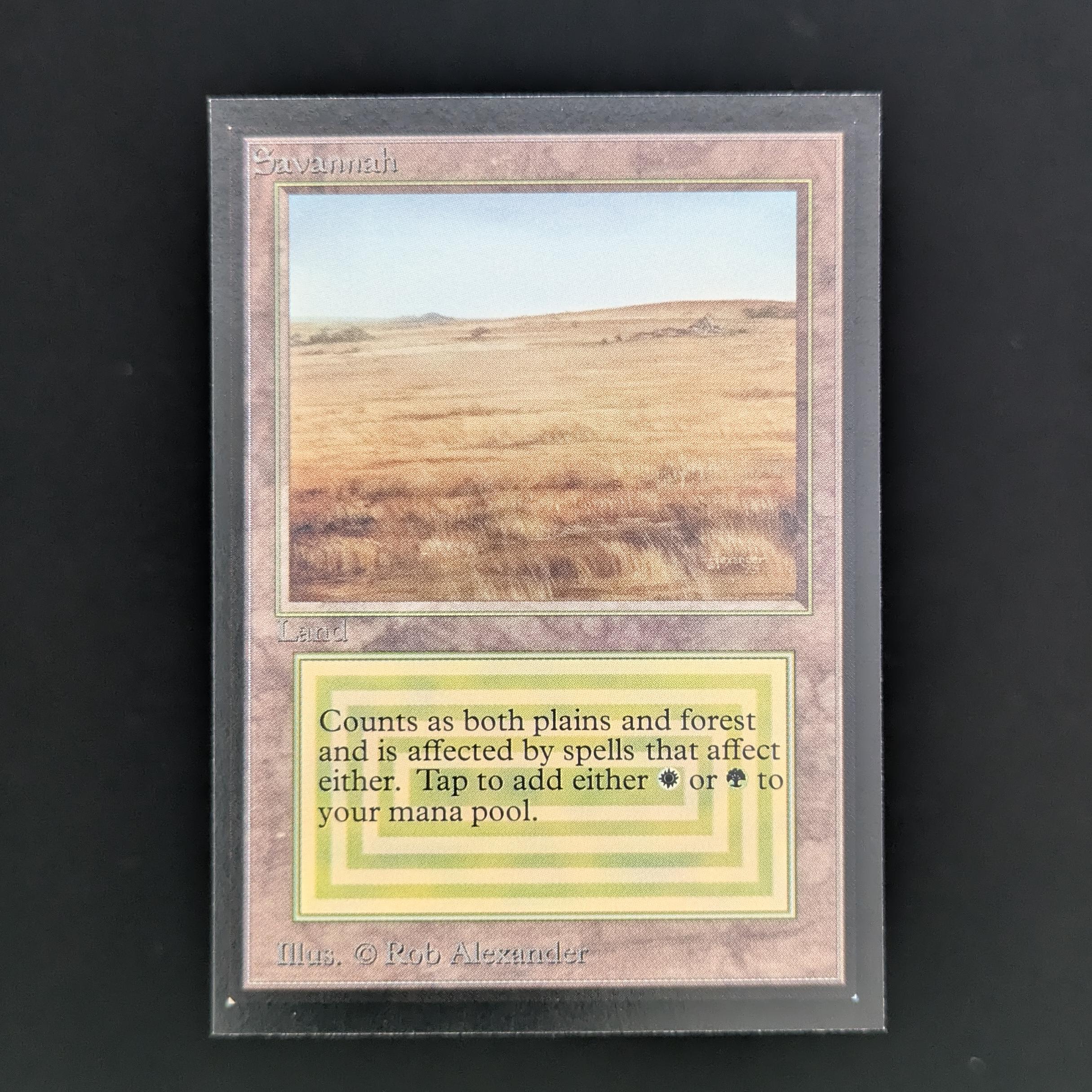 MTG Singles - Savannah - International Edition - NM - 33843