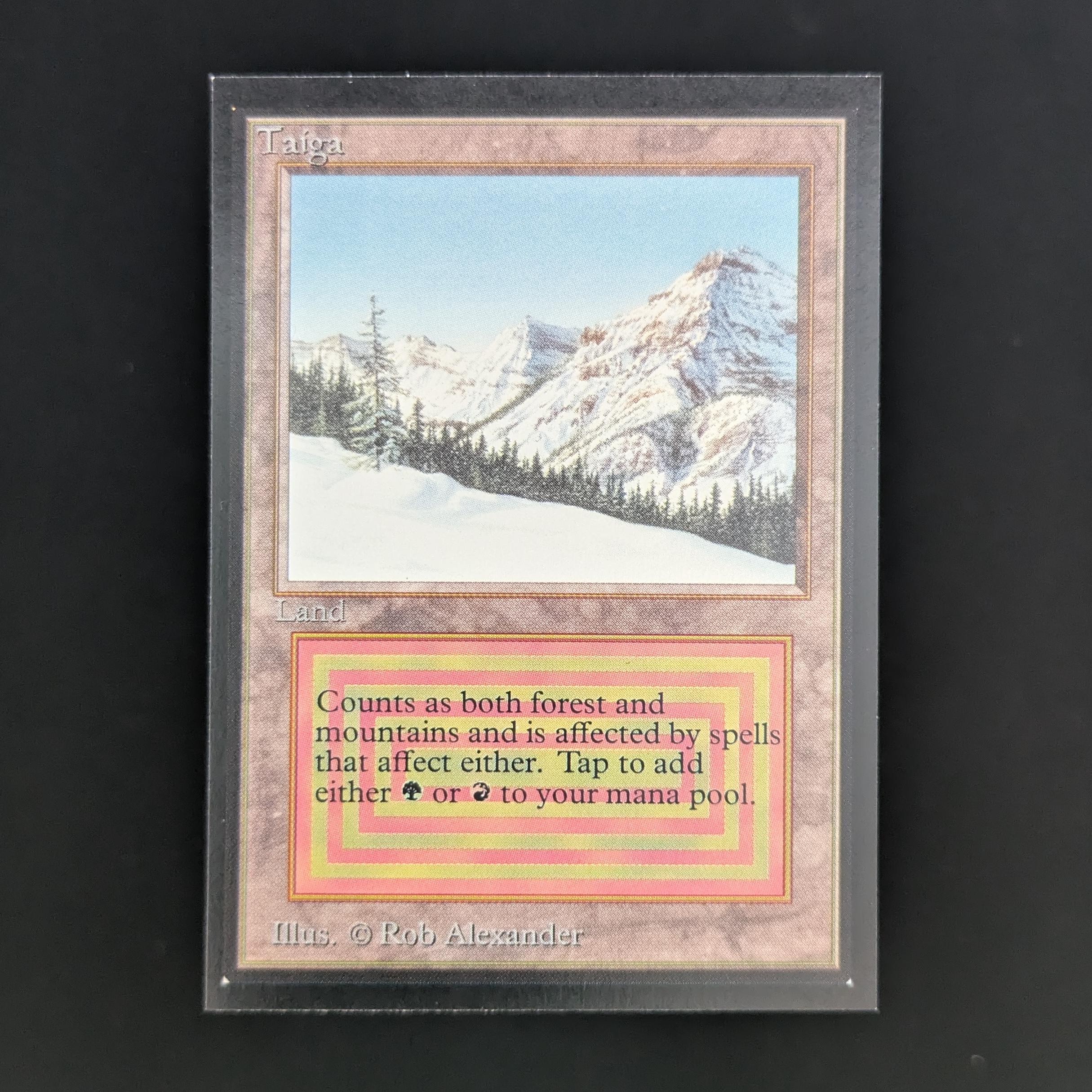 MTG Singles - Taiga - International Edition - NM - 33845