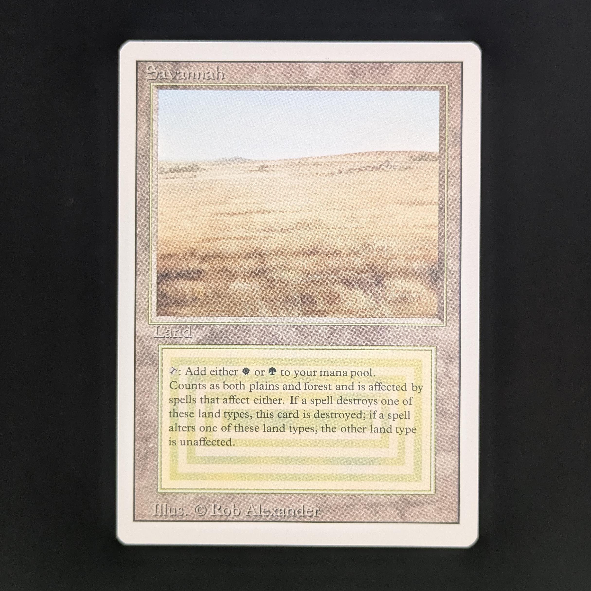 MTG Singles - Savannah - Revised - NM - 33862