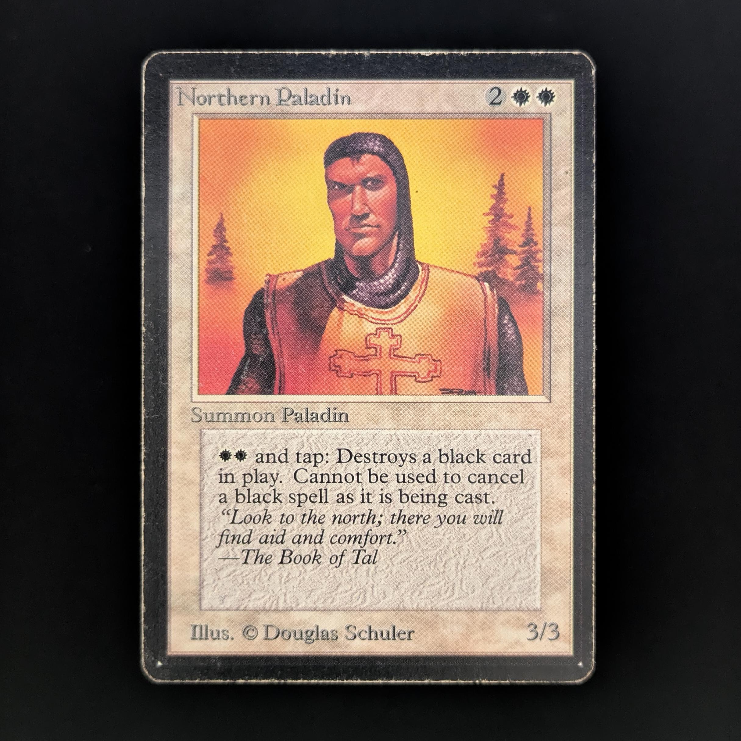 MTG Singles - Northern Paladin - Beta - PL - 33964