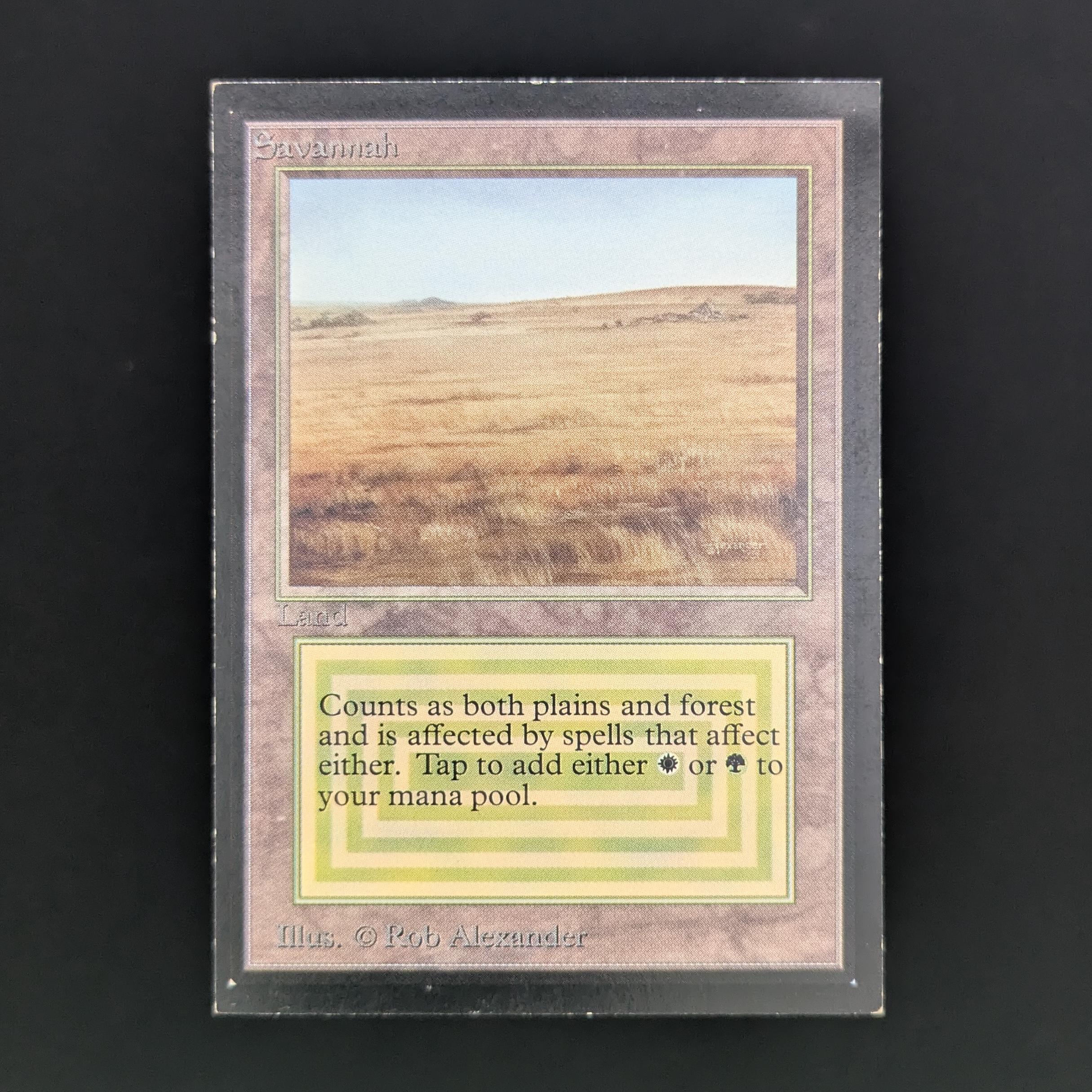 MTG Singles - Savannah - International Edition - PL - 34043