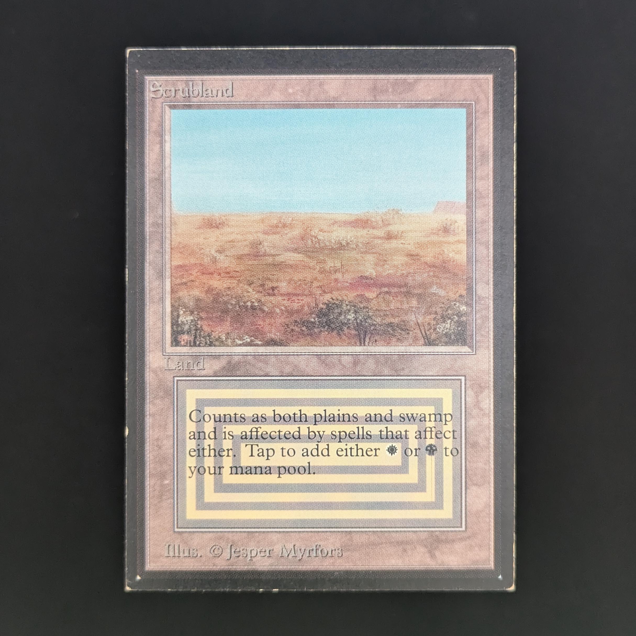 MTG Singles - Scrubland - International Edition - PL - 34044