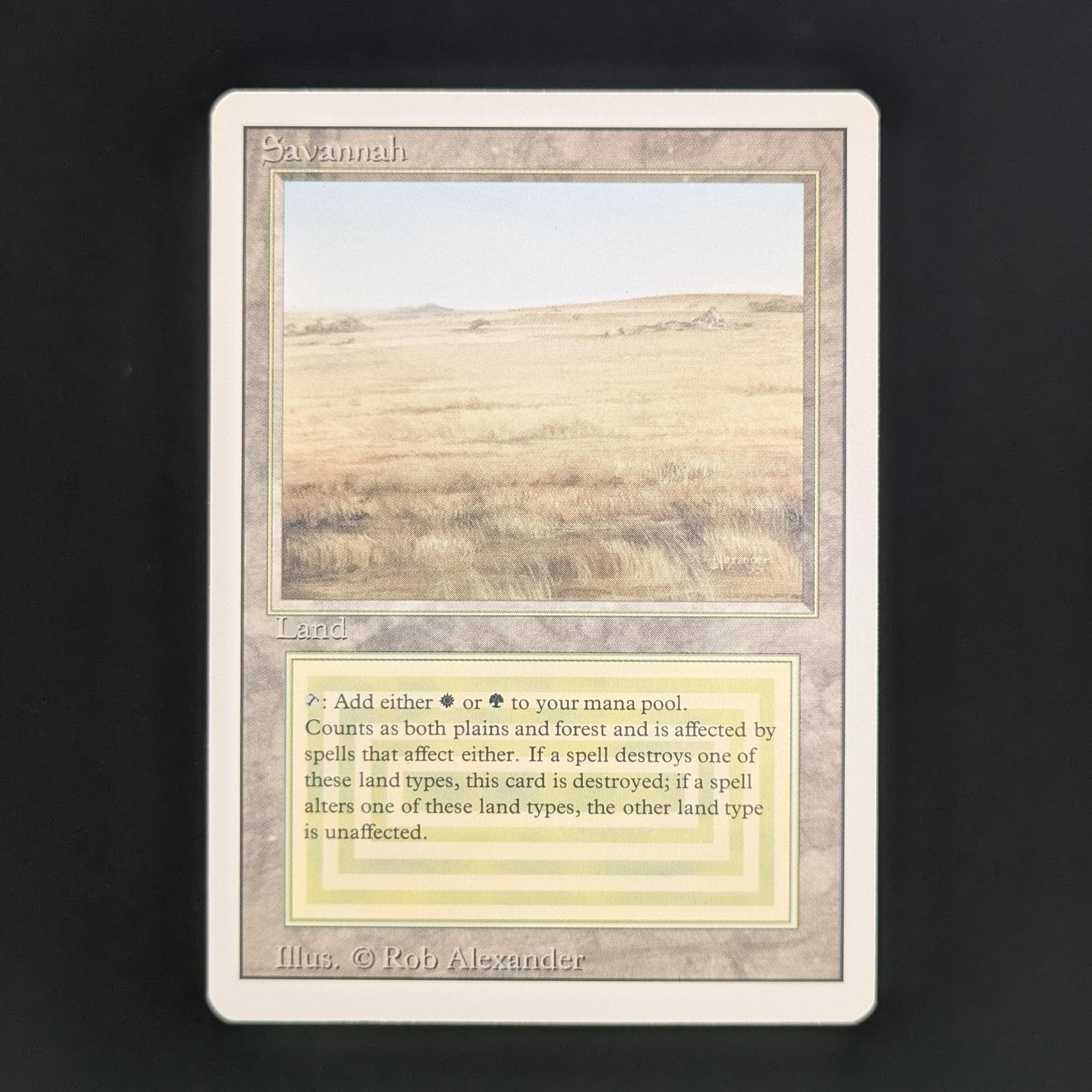 MTG Singles - Savannah - Revised - NM - 34077