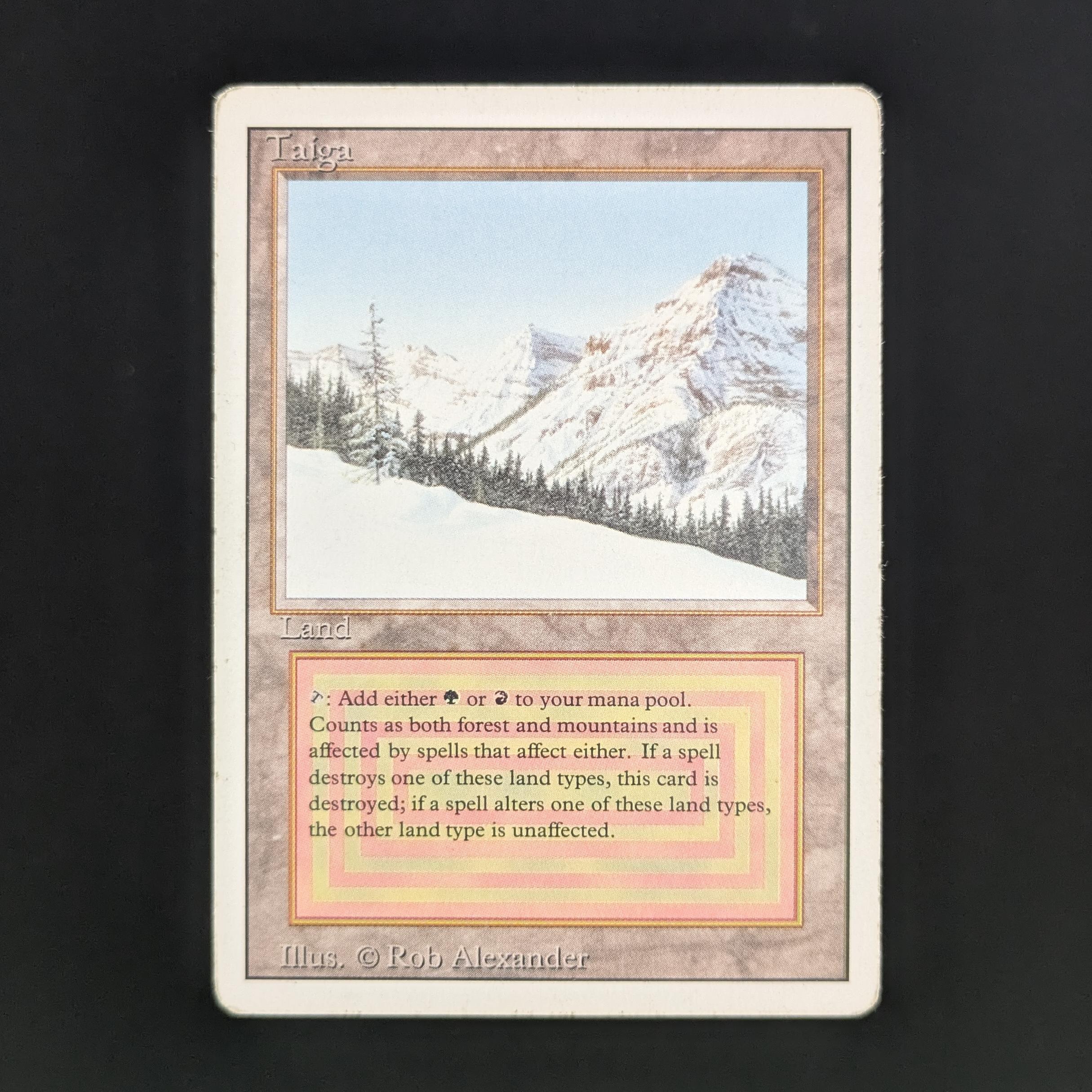 MTG Singles - Taiga - Revised - PL - 34095