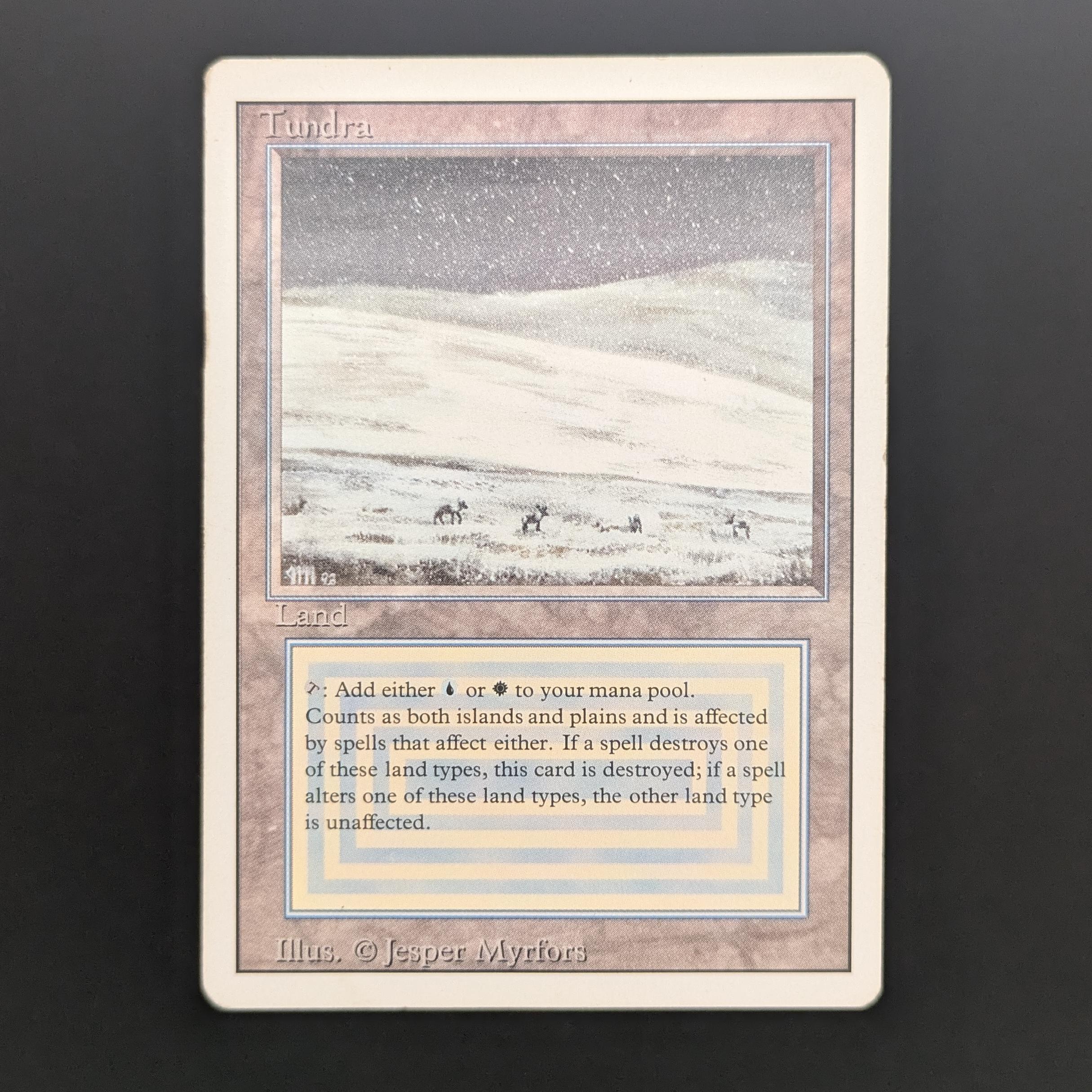 MTG Singles - Tundra - Revised - LP - 34106