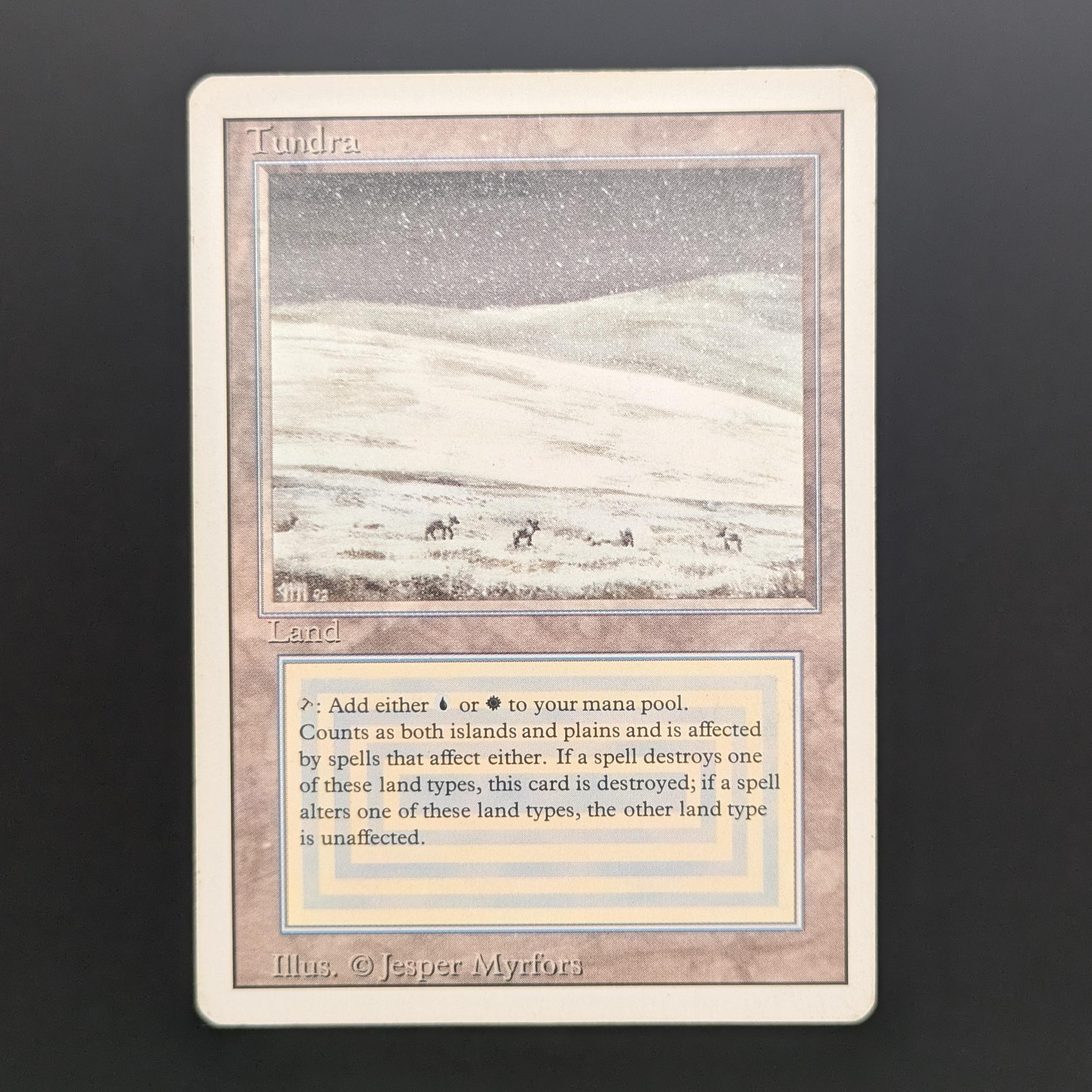 MTG Singles - Tundra - Revised - PL - 34107