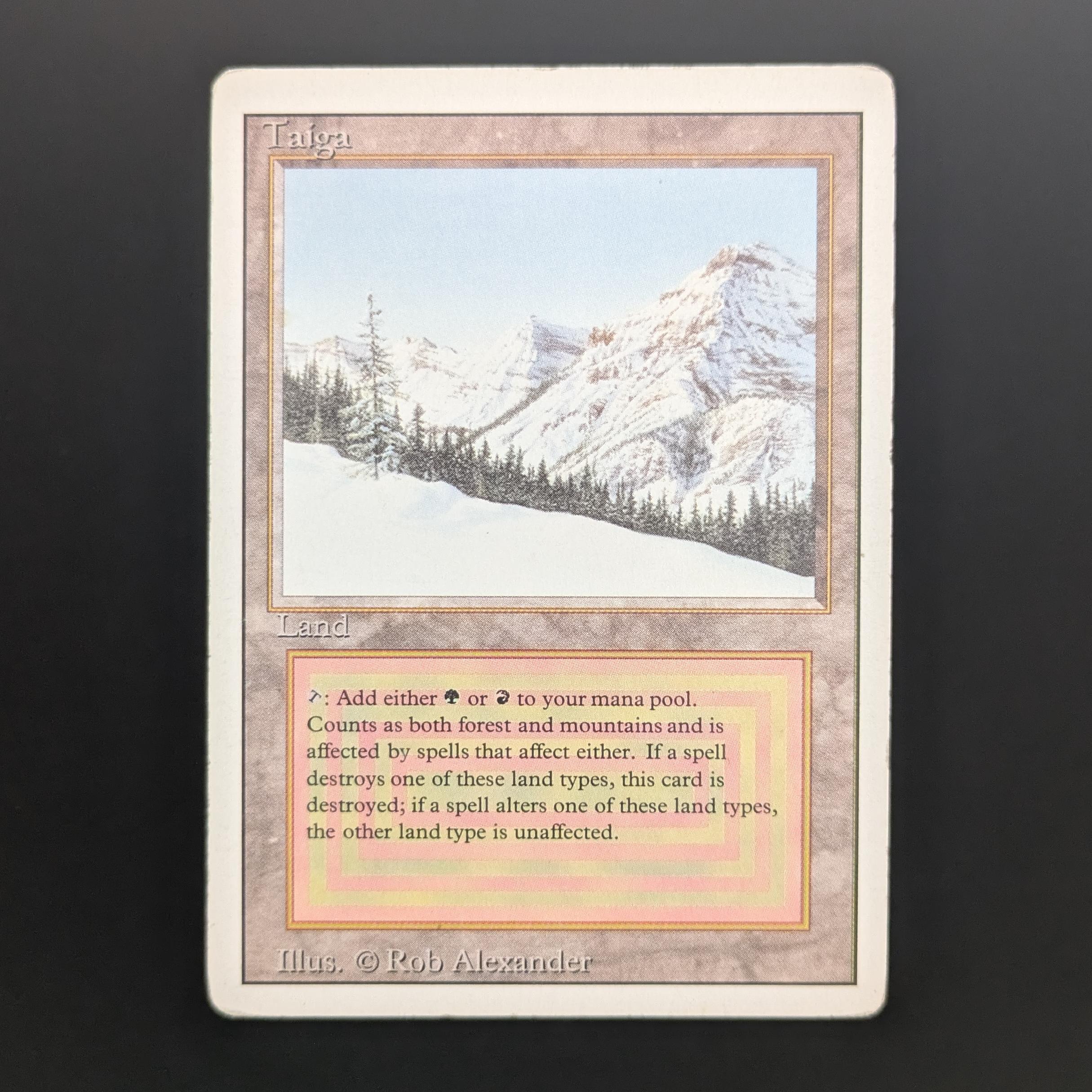 MTG Singles - Taiga - Revised - PL - 34139