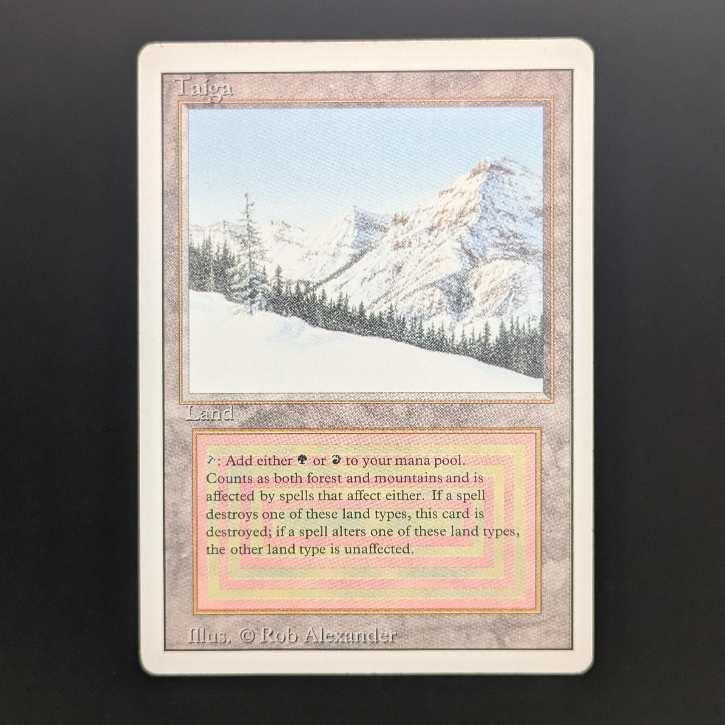 MTG Singles - Taiga - Revised - PL - 34141