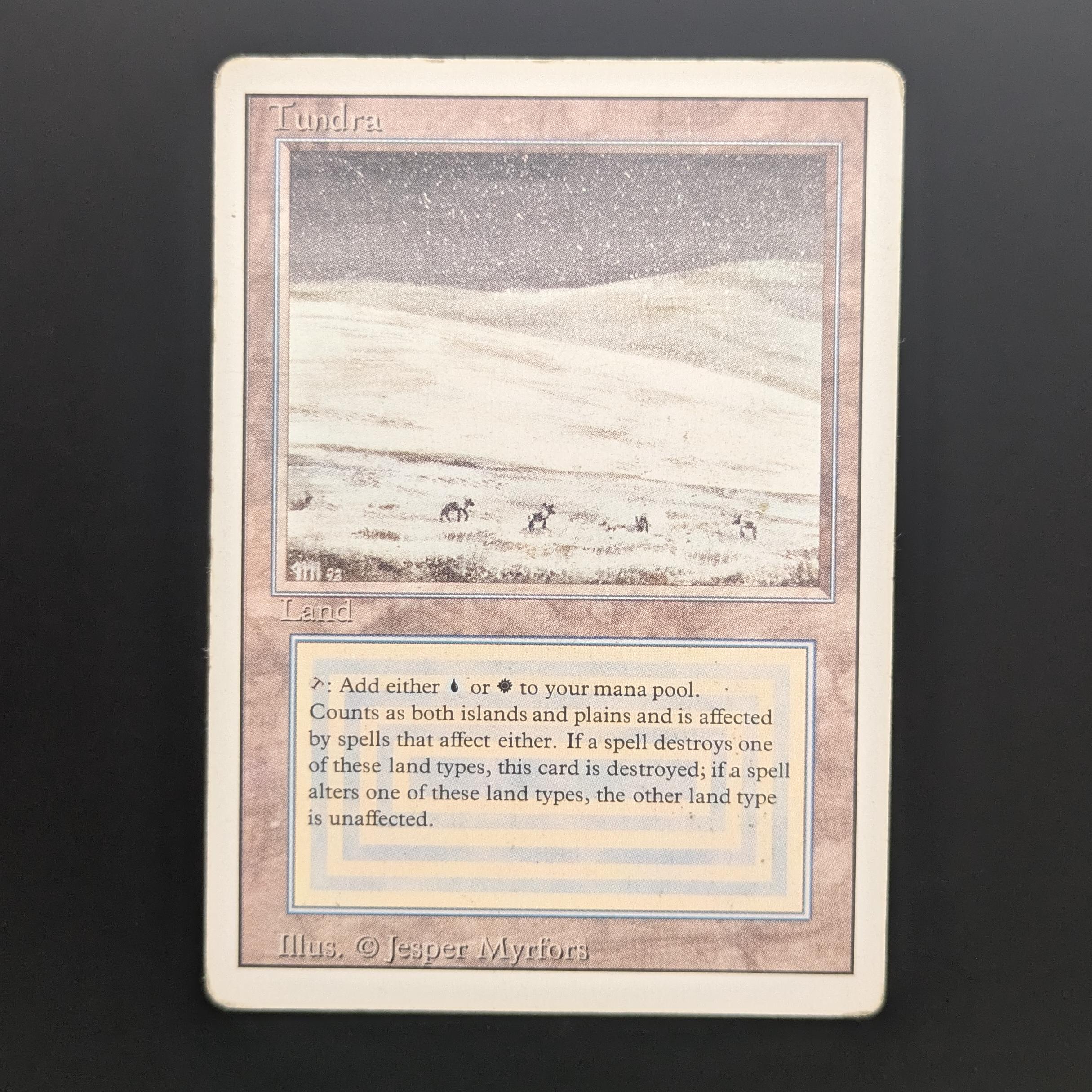 MTG Singles - Tundra - Revised - PL - 34152