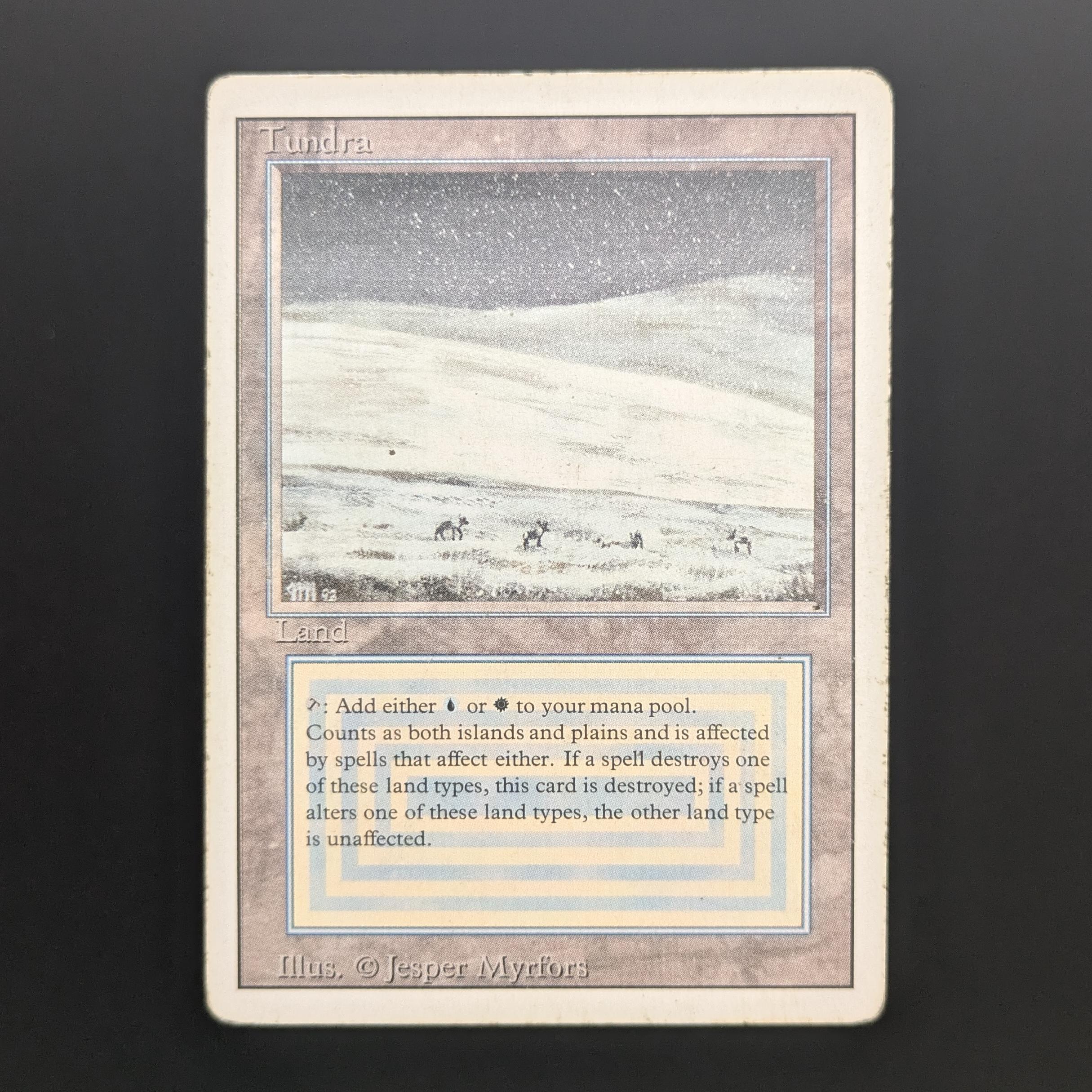 MTG Singles - Tundra - Revised - PL - 34154