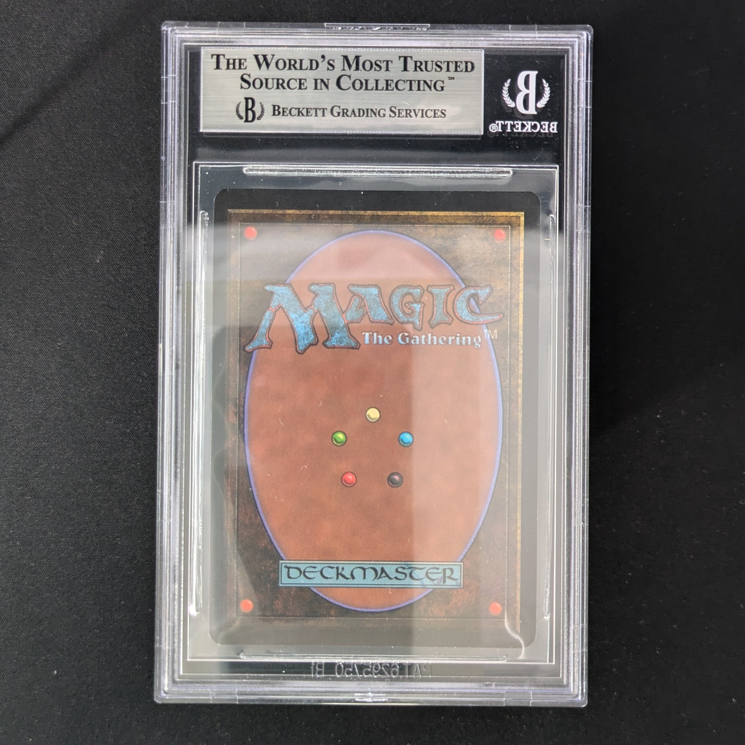 Fungusaur - Beta - English - BGS 9