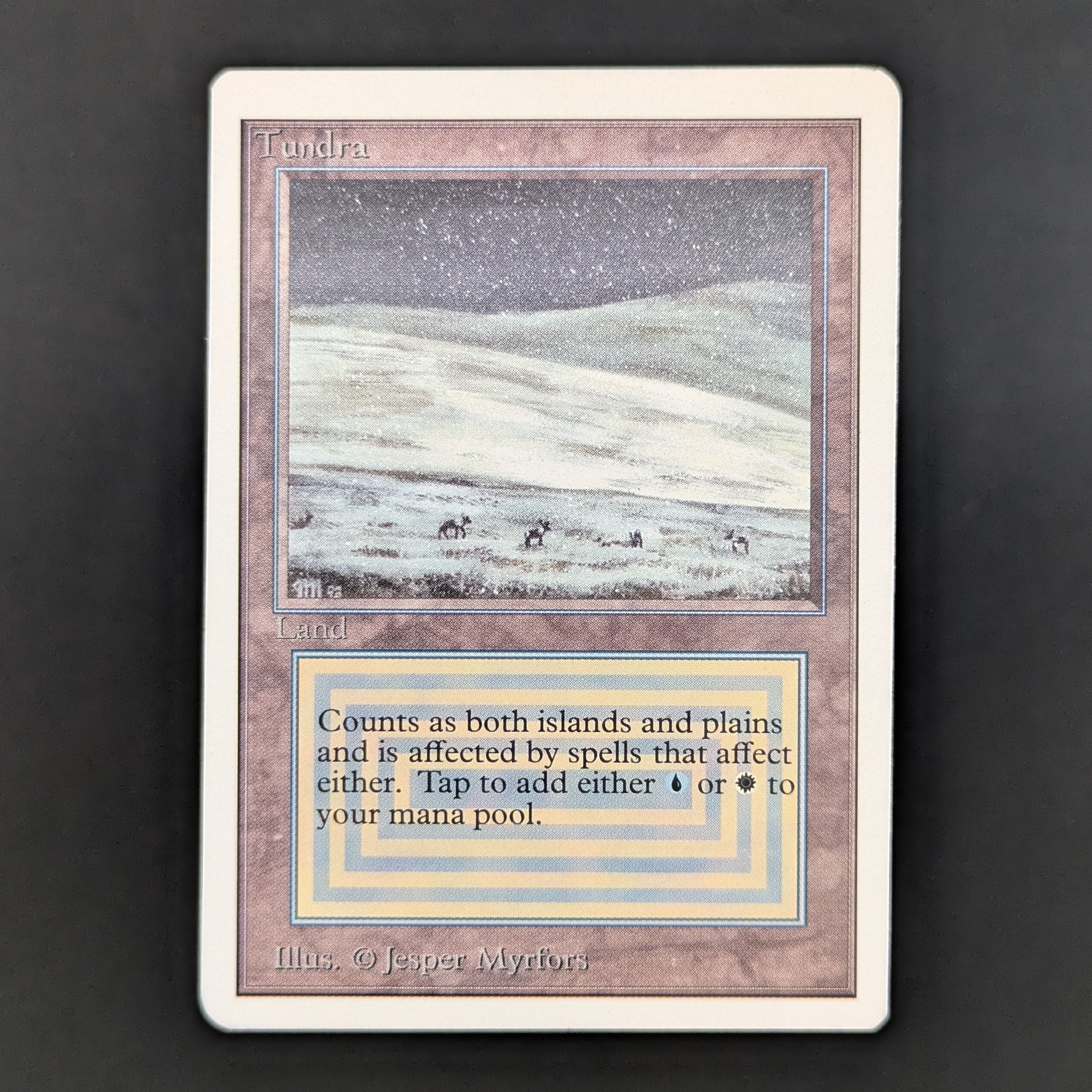 MTG Singles - Tundra - Unlimited - GD - ROLLERLINE - 34881