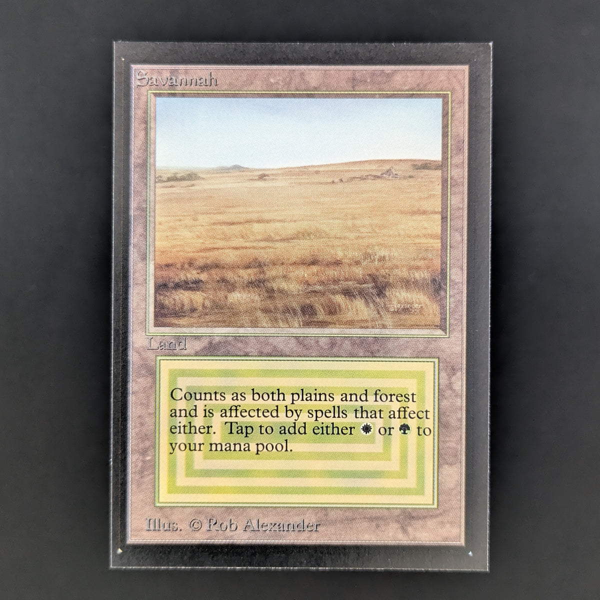MTG Singles - Savannah - Collectors' Edition - NM - 34948