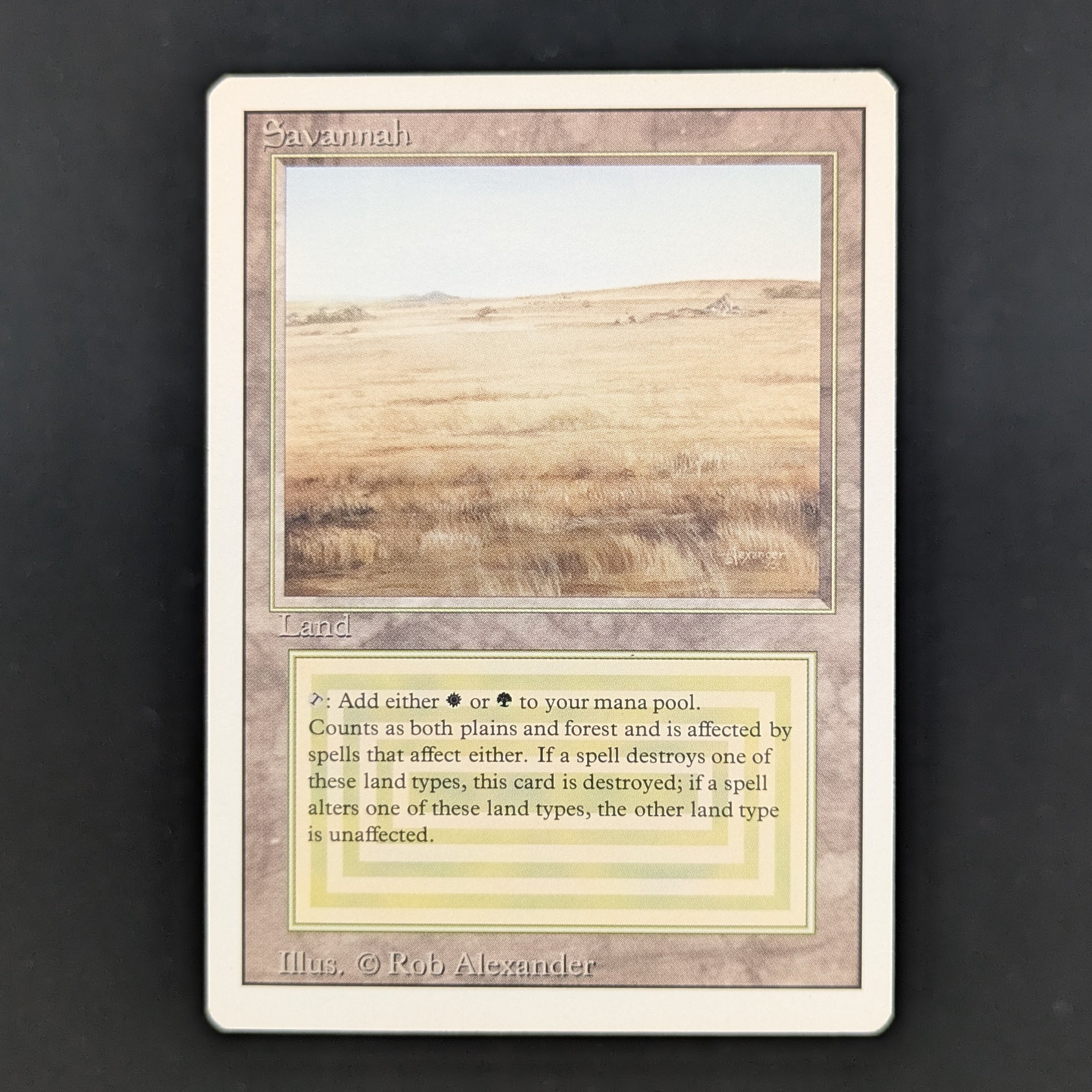 MTG Singles - Savannah - Revised - EX - 35154