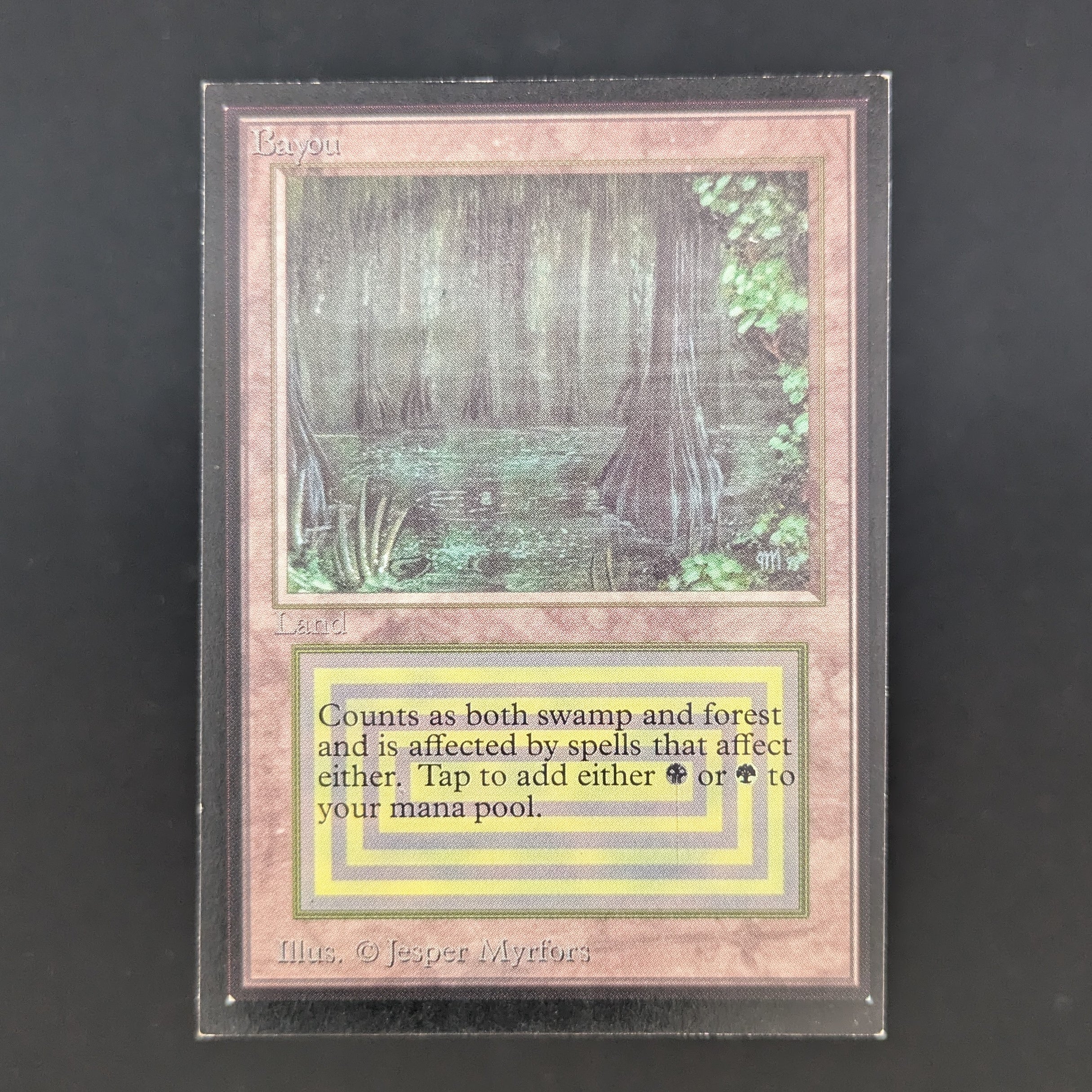 MTG Singles - Bayou - International Edition - GD - 35200