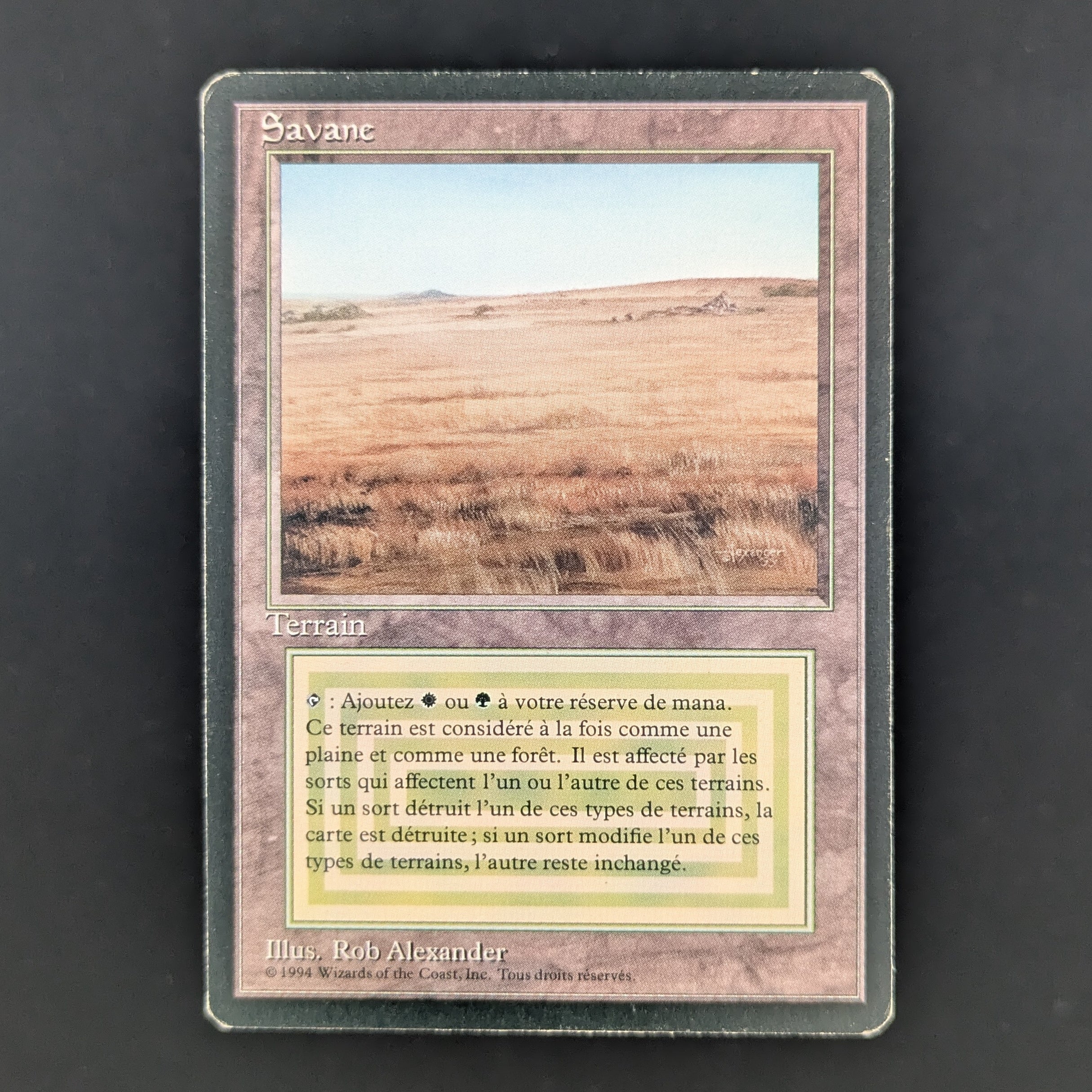 MTG Singles - Savannah - Foreign Black Bordered - French - LP - 35273