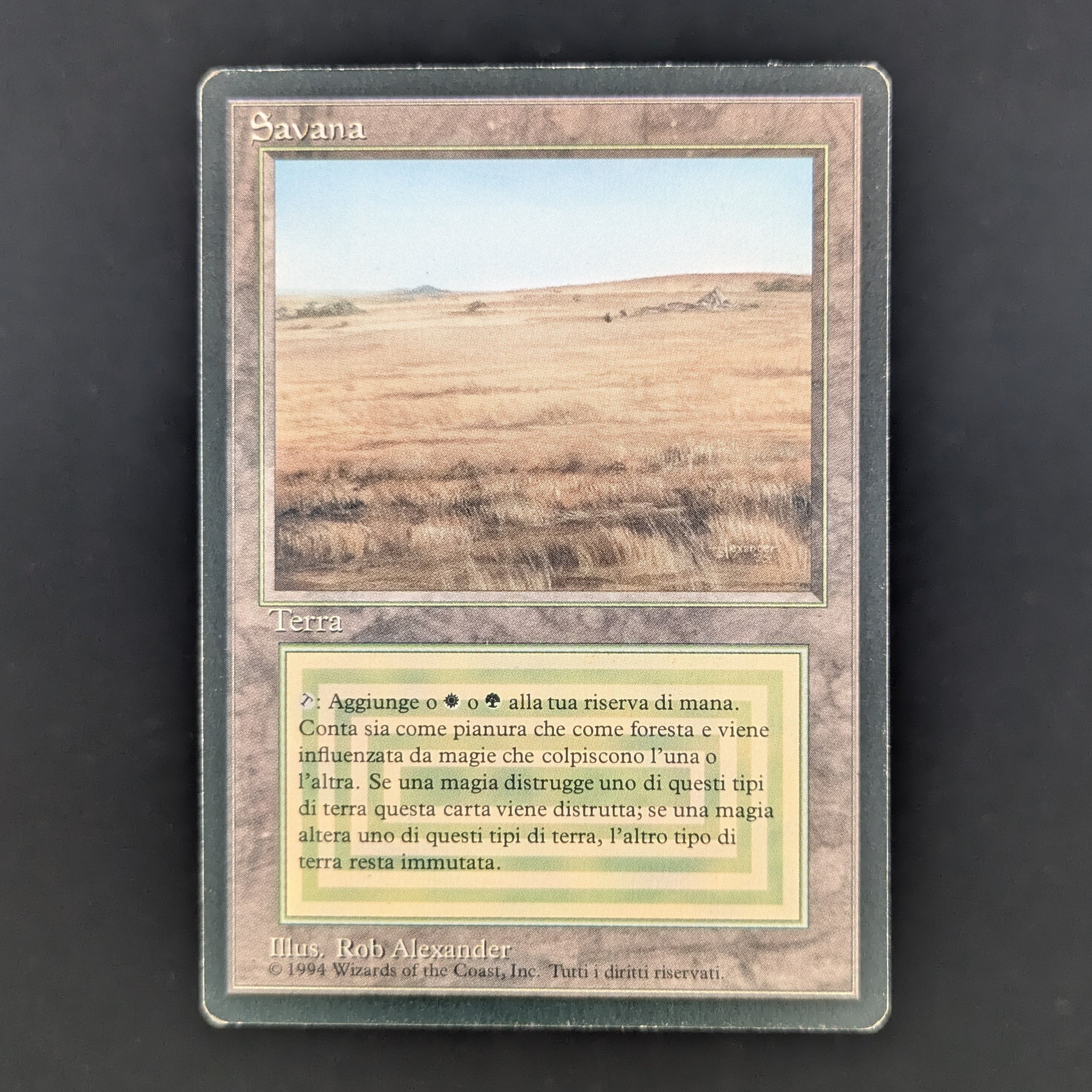 MTG Singles - Savannah - Foreign Black Bordered - Italian - LP - 35277