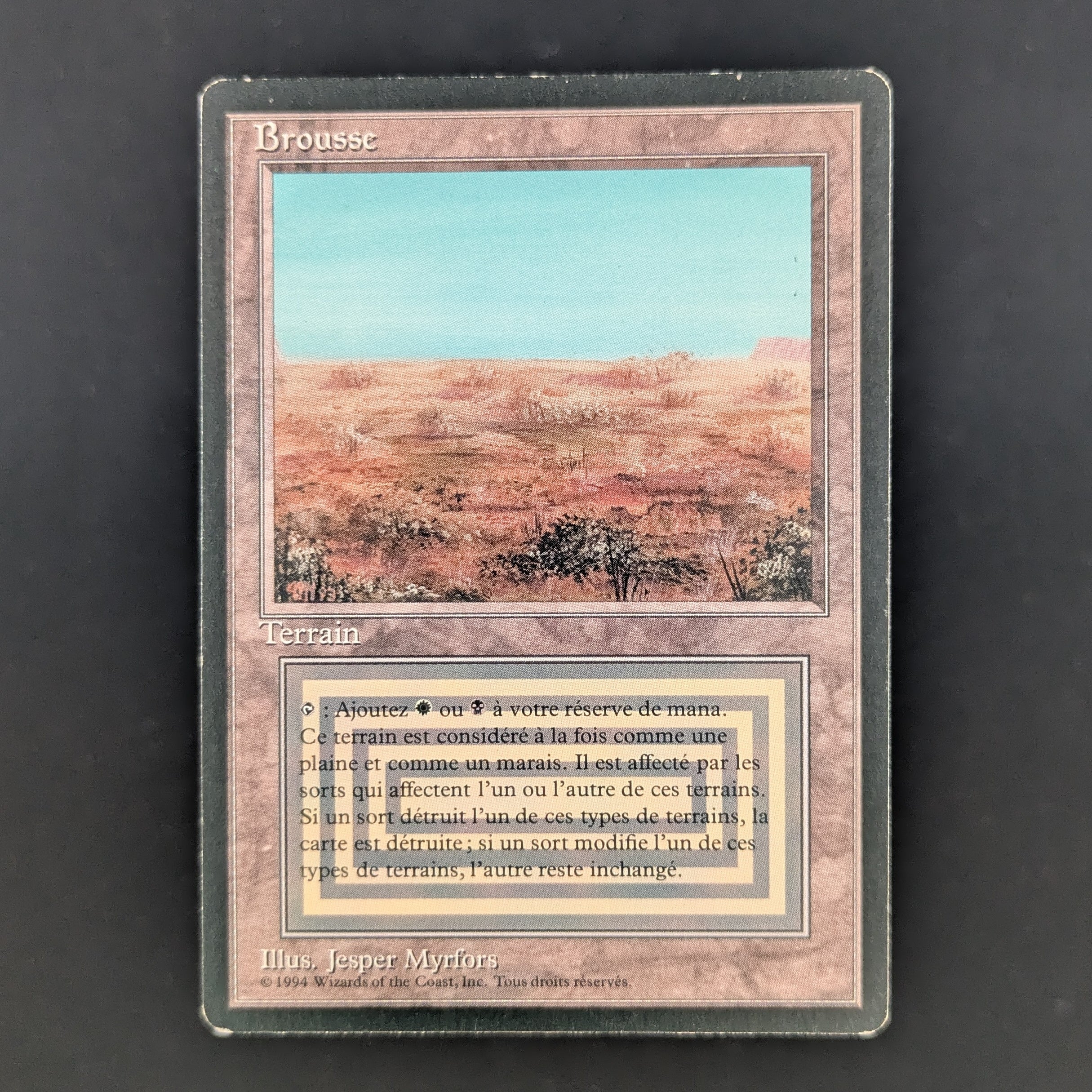 MTG Singles - Scrubland - Foreign Black Bordered - French - GD - 35278